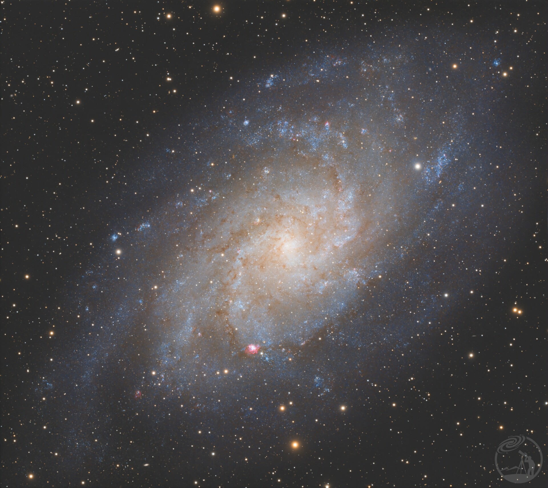 M33 打野快餐
