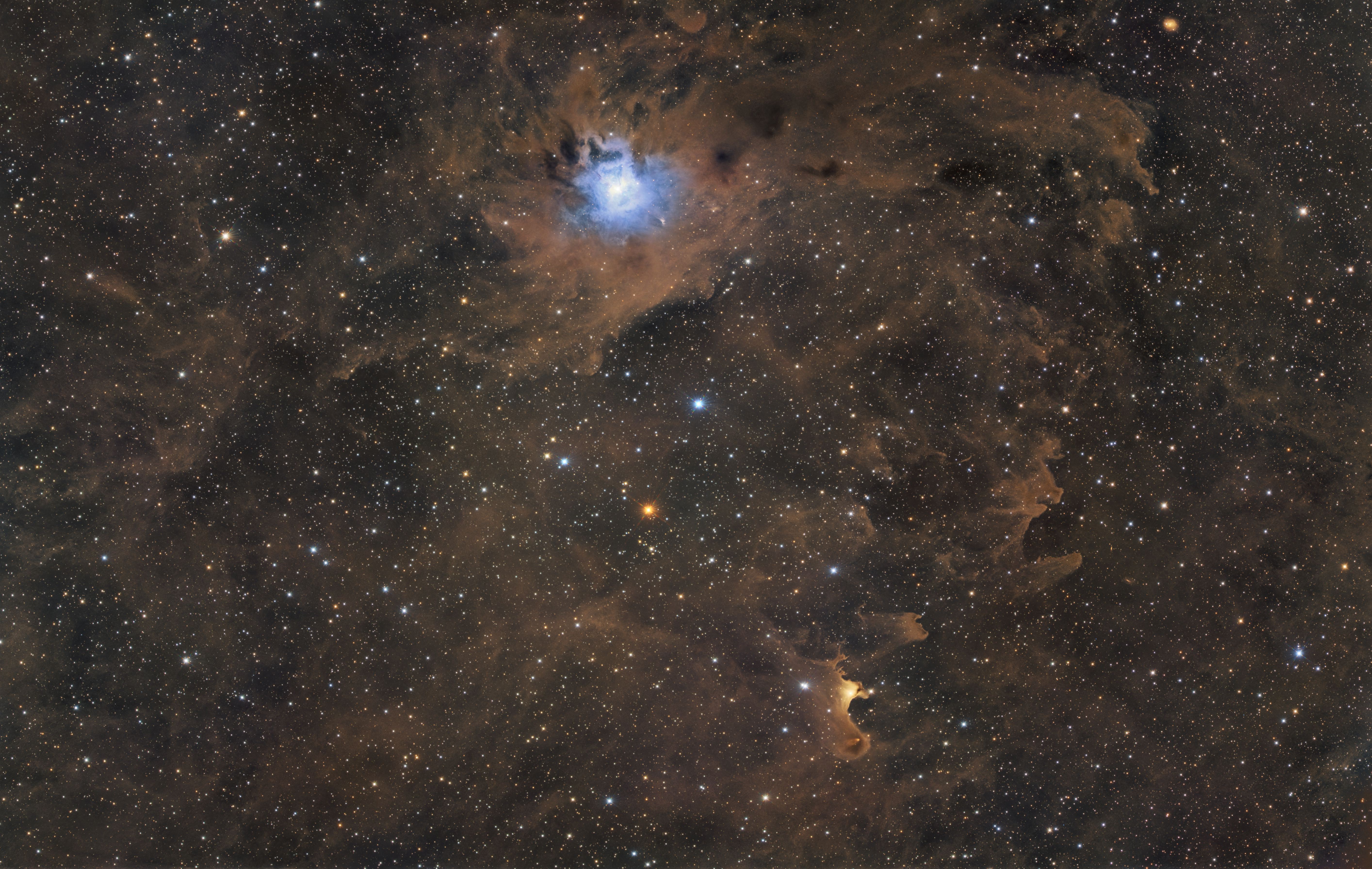 打野六晚的鸢尾花与鬼魂星云的合影