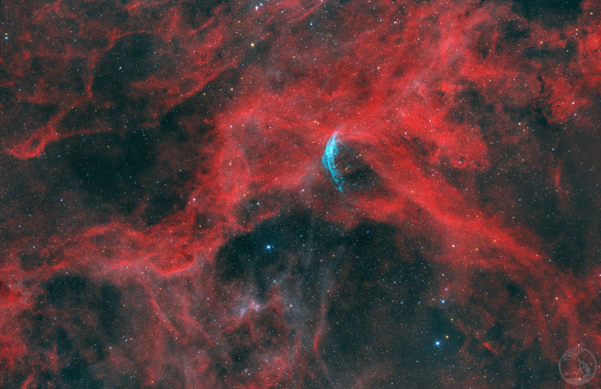 WR 134