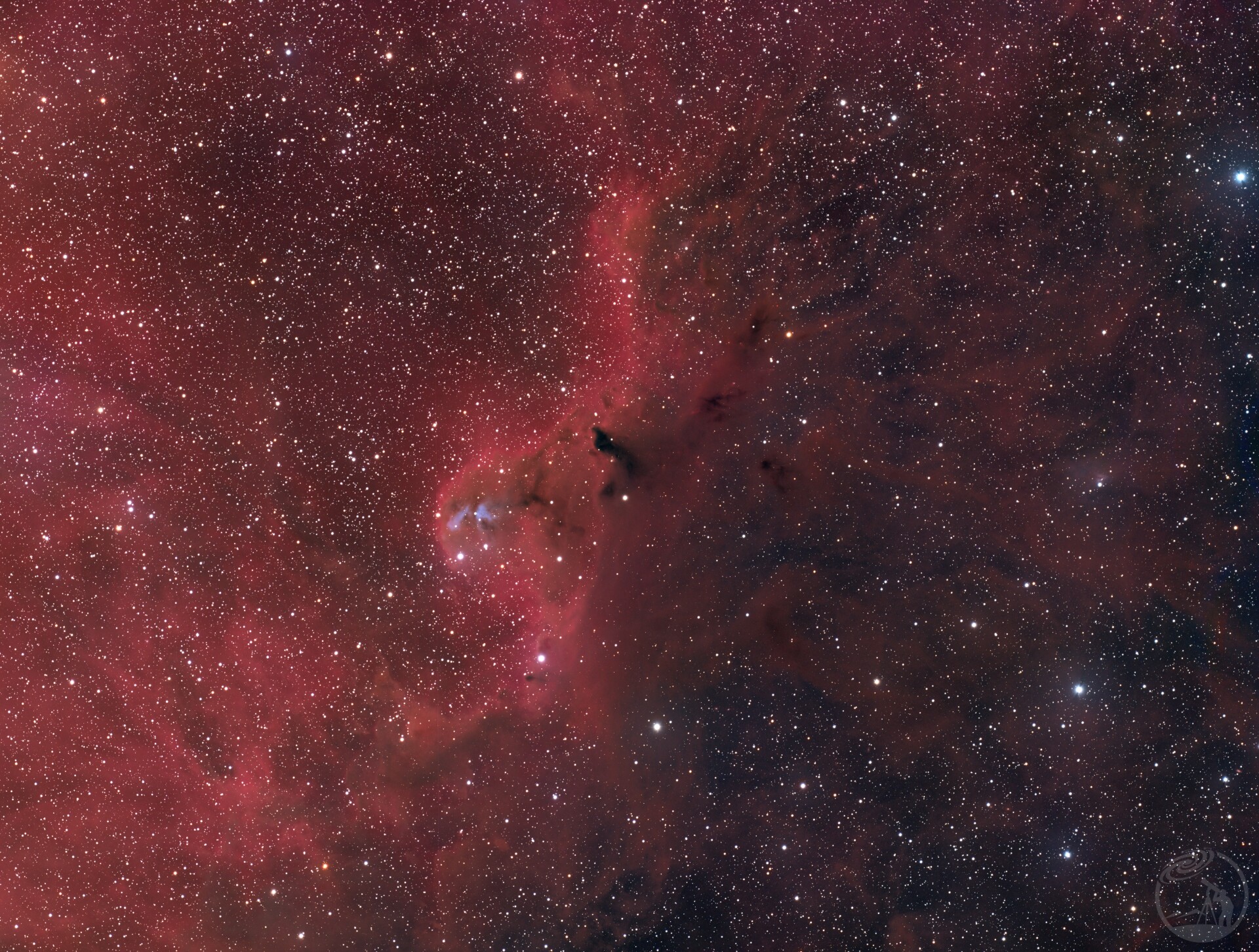 Cederblad 51(Sh 264)