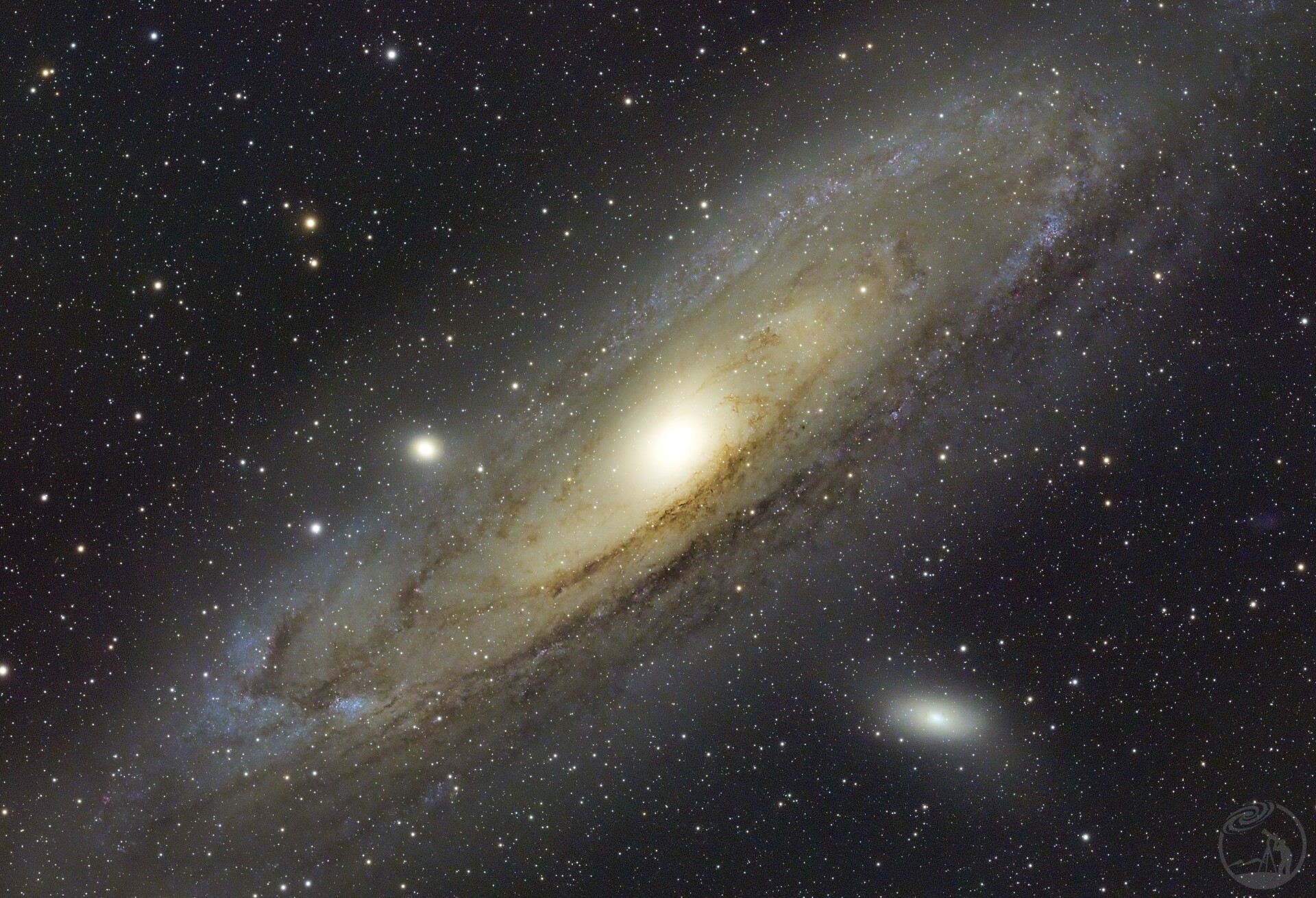 M31