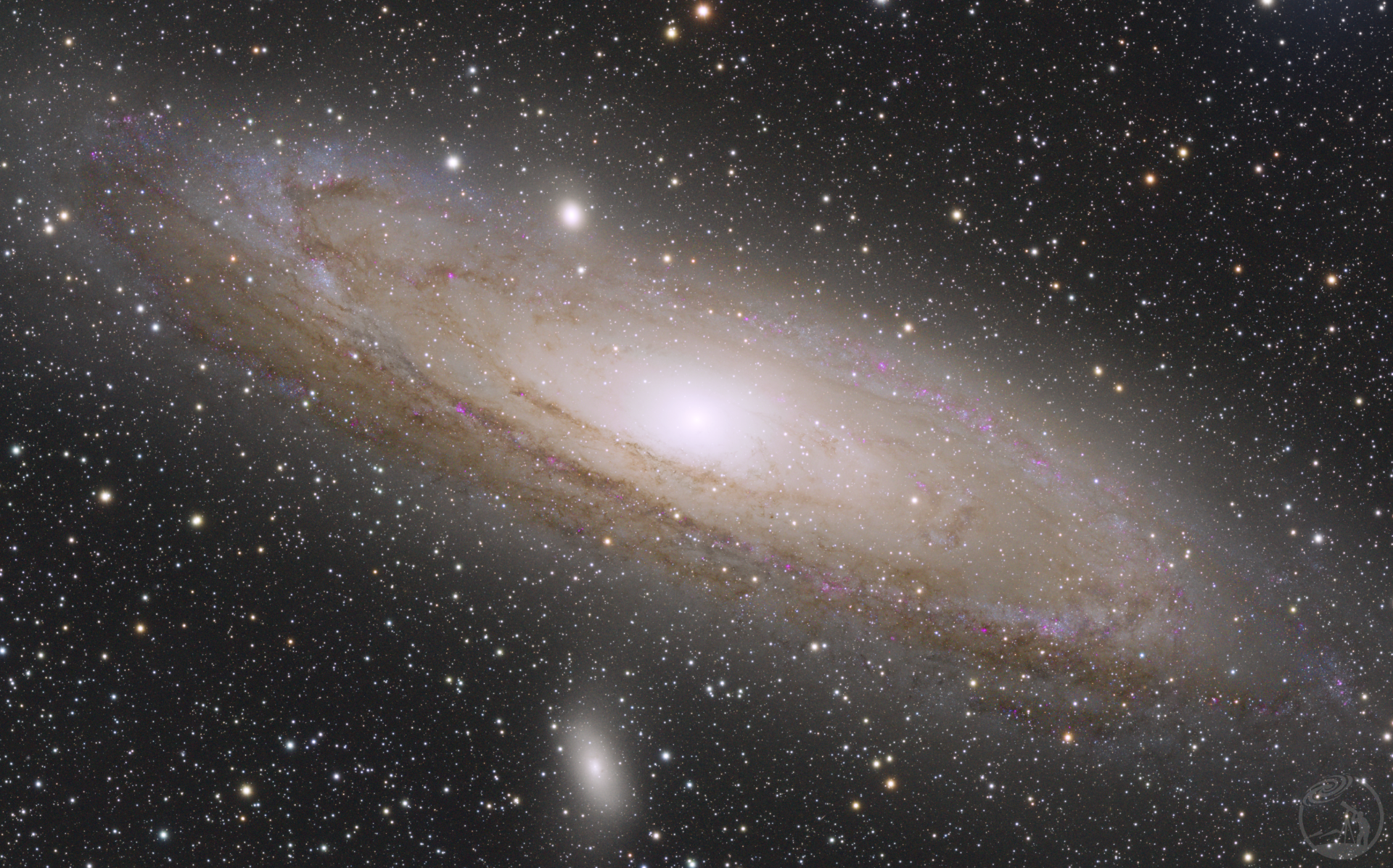 M31