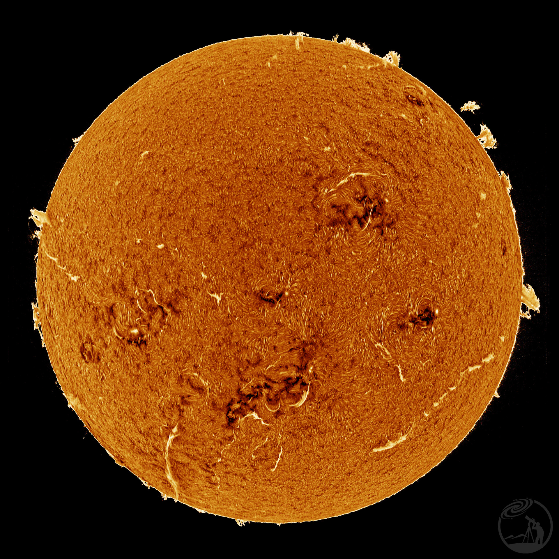 20250920太阳光谱仪线扫成像Halpha