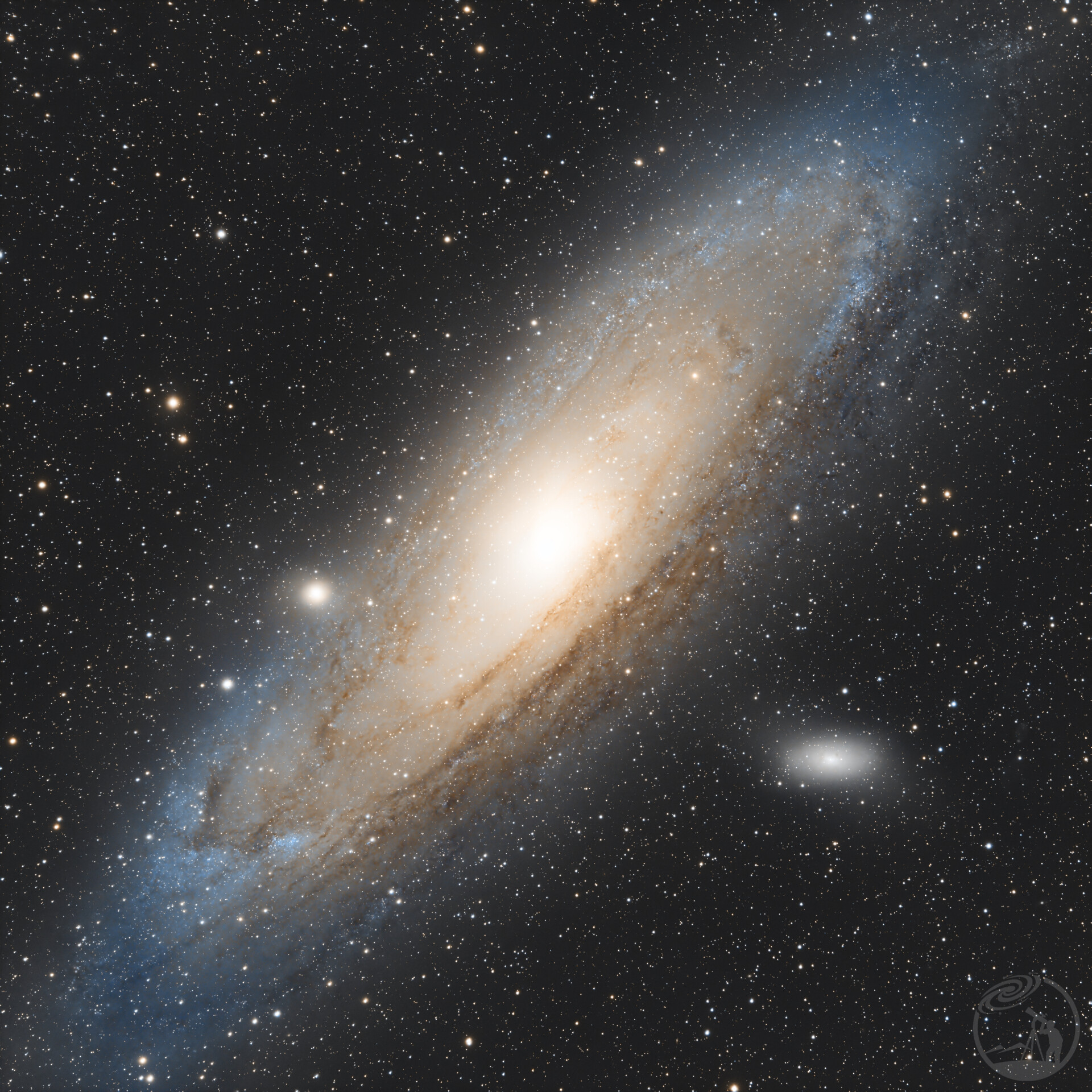 M31