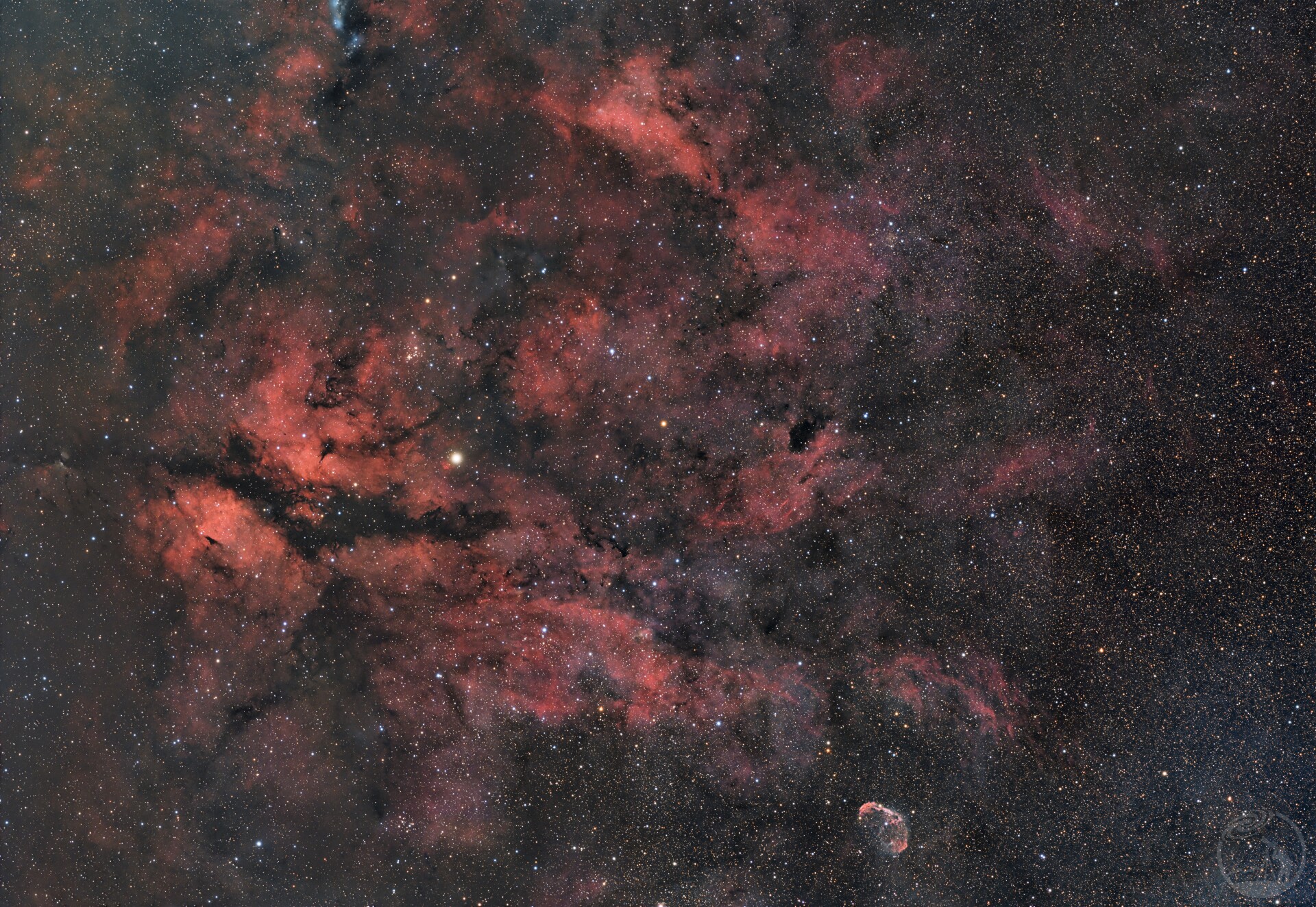 IC1318广域