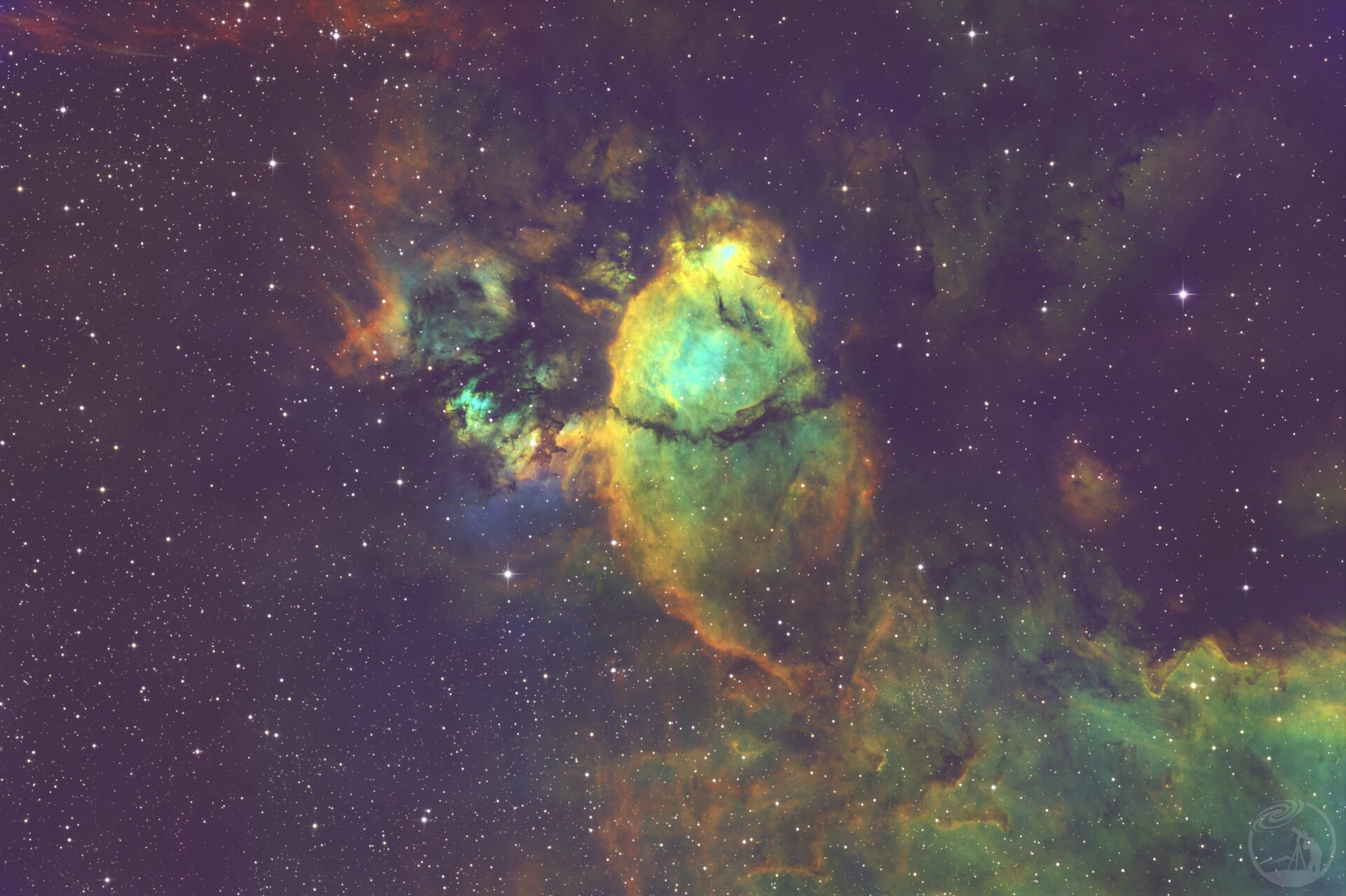 ic1795鱼头星云