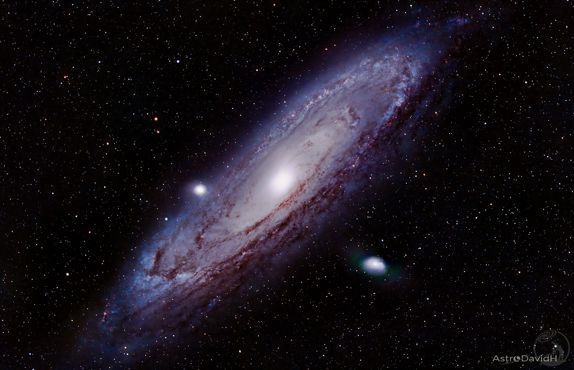 M31