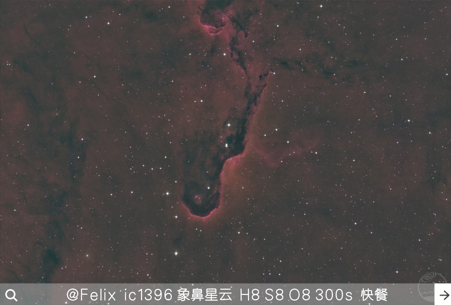 象鼻快餐。。测试滤镜用的