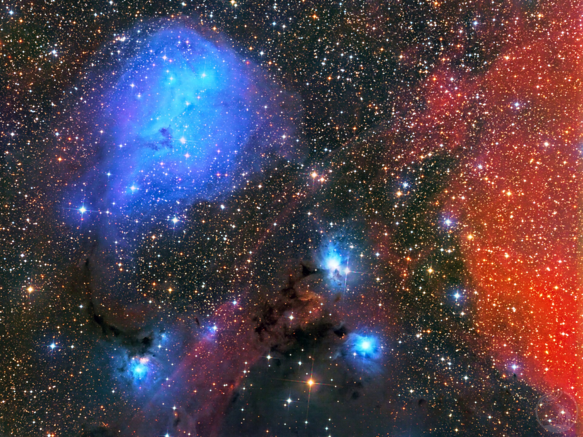 IC2169