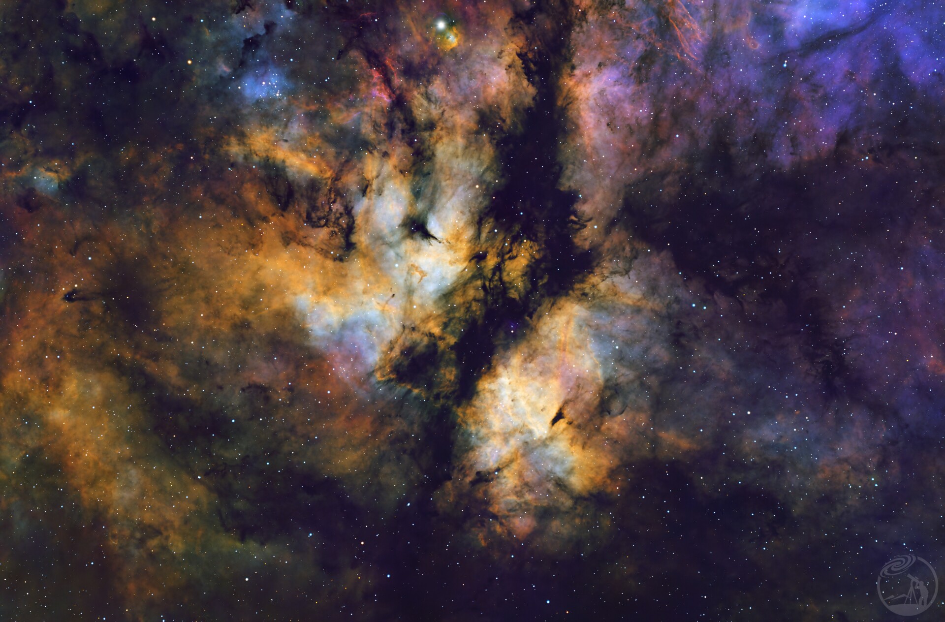 Ic1318 蝴蝶星云