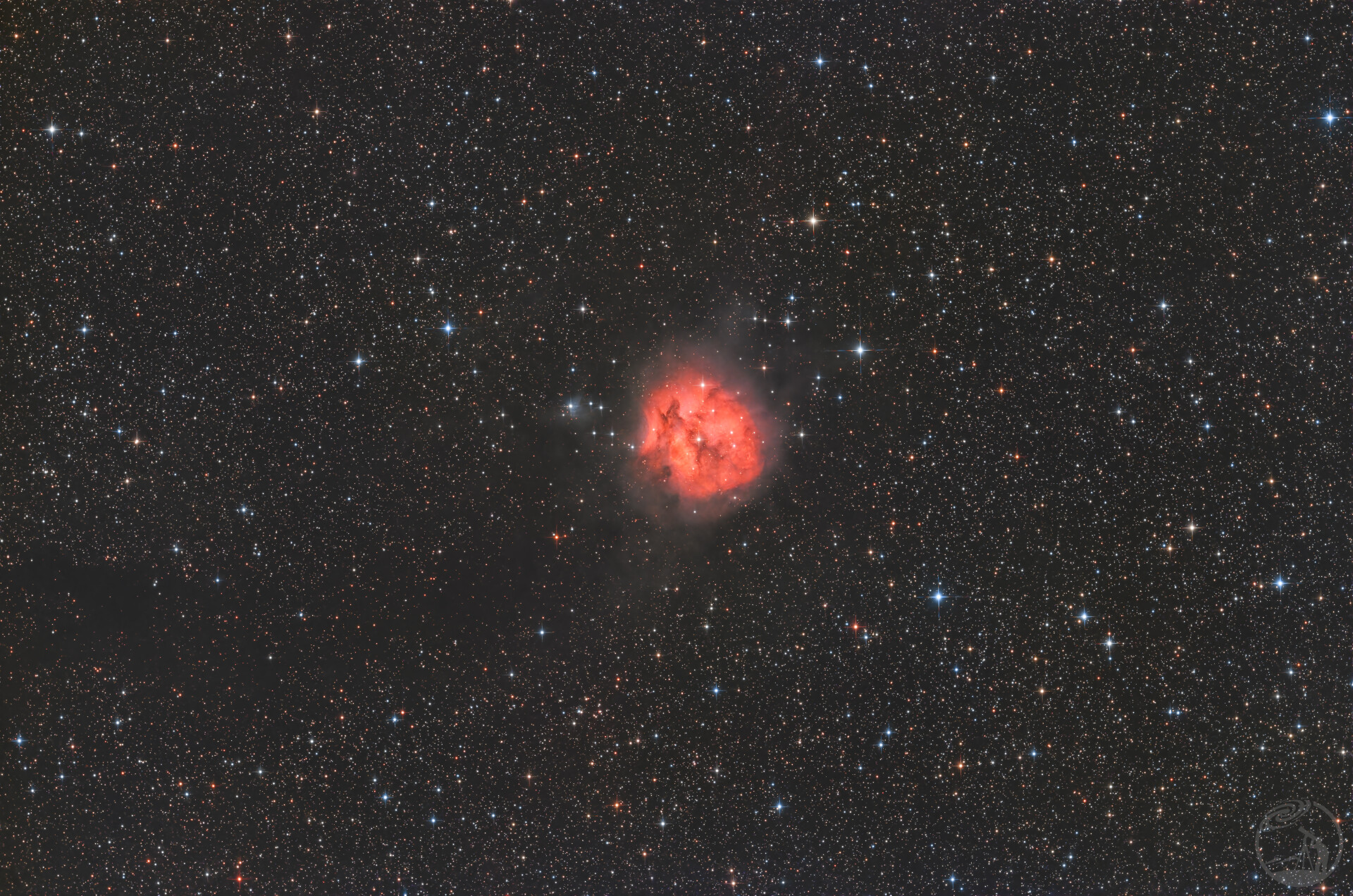 C19茧星云