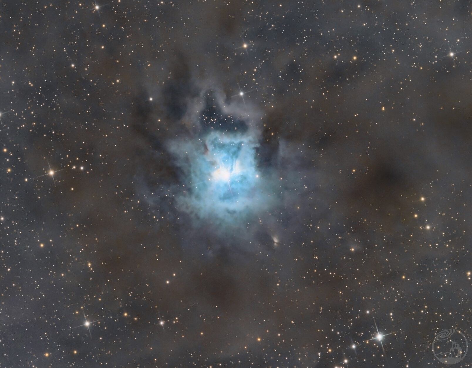 第一次拍NGC7023 鸢尾花