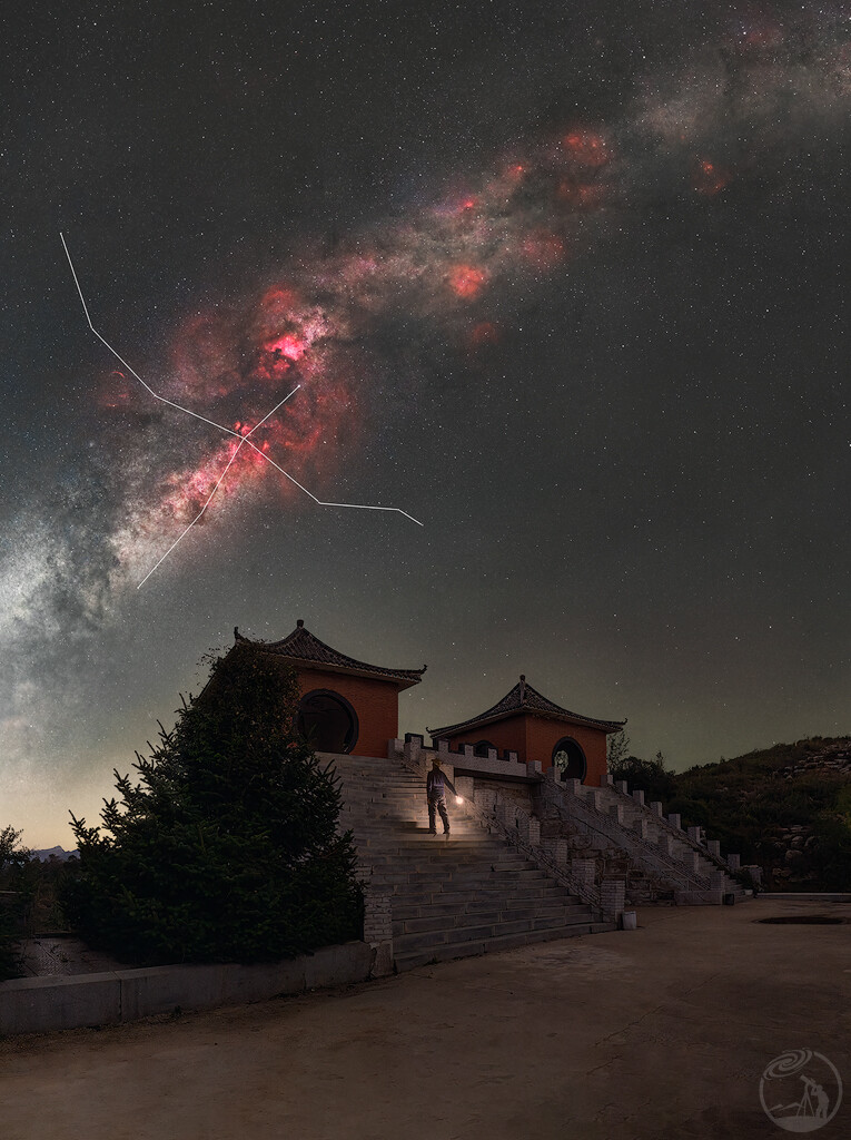 夜观天鹅座