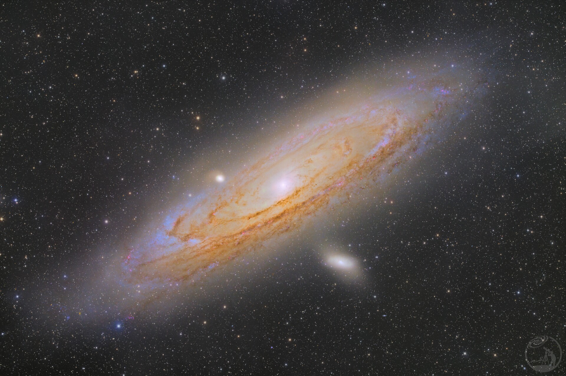 M31
