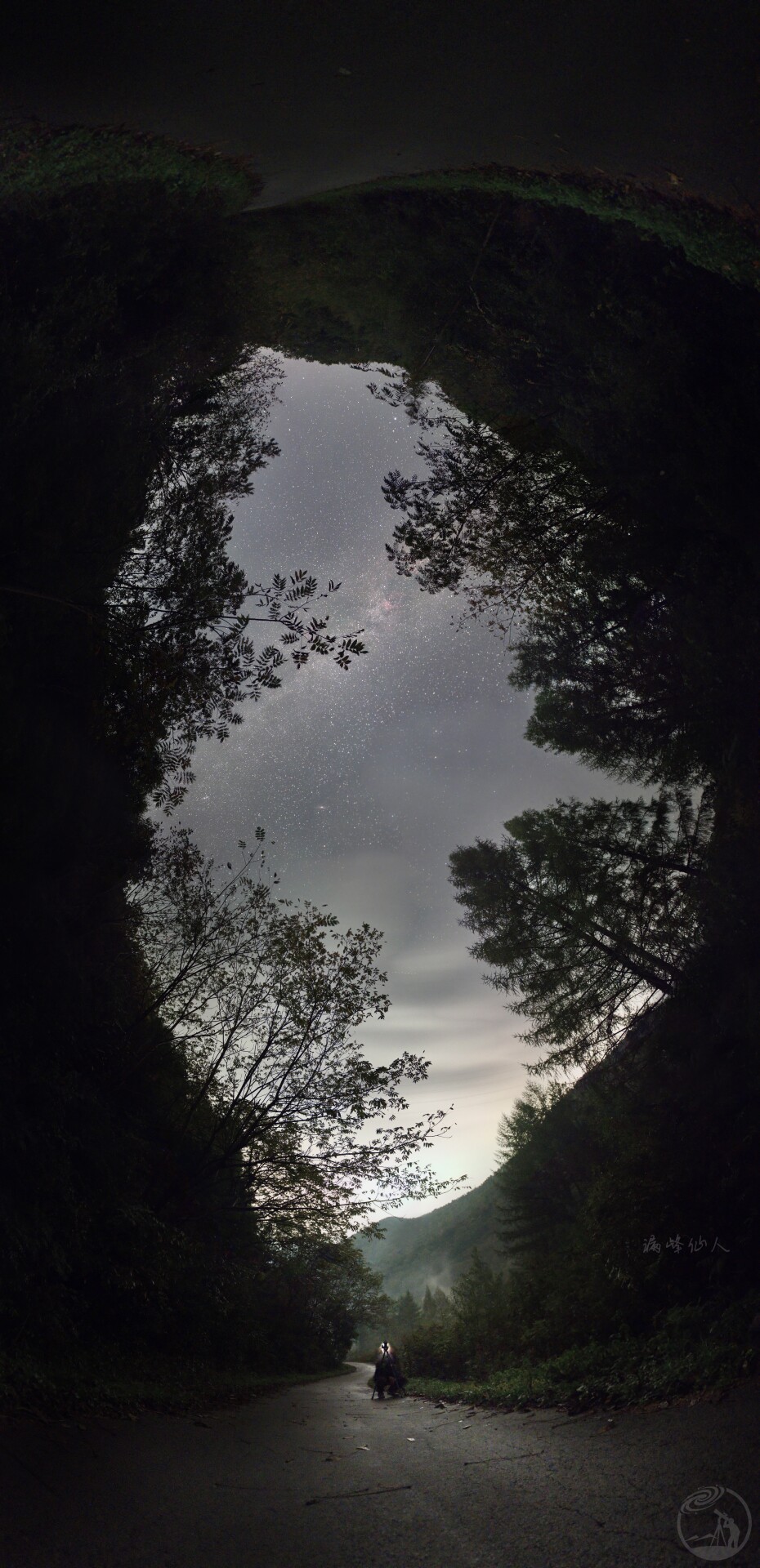 漫步山林