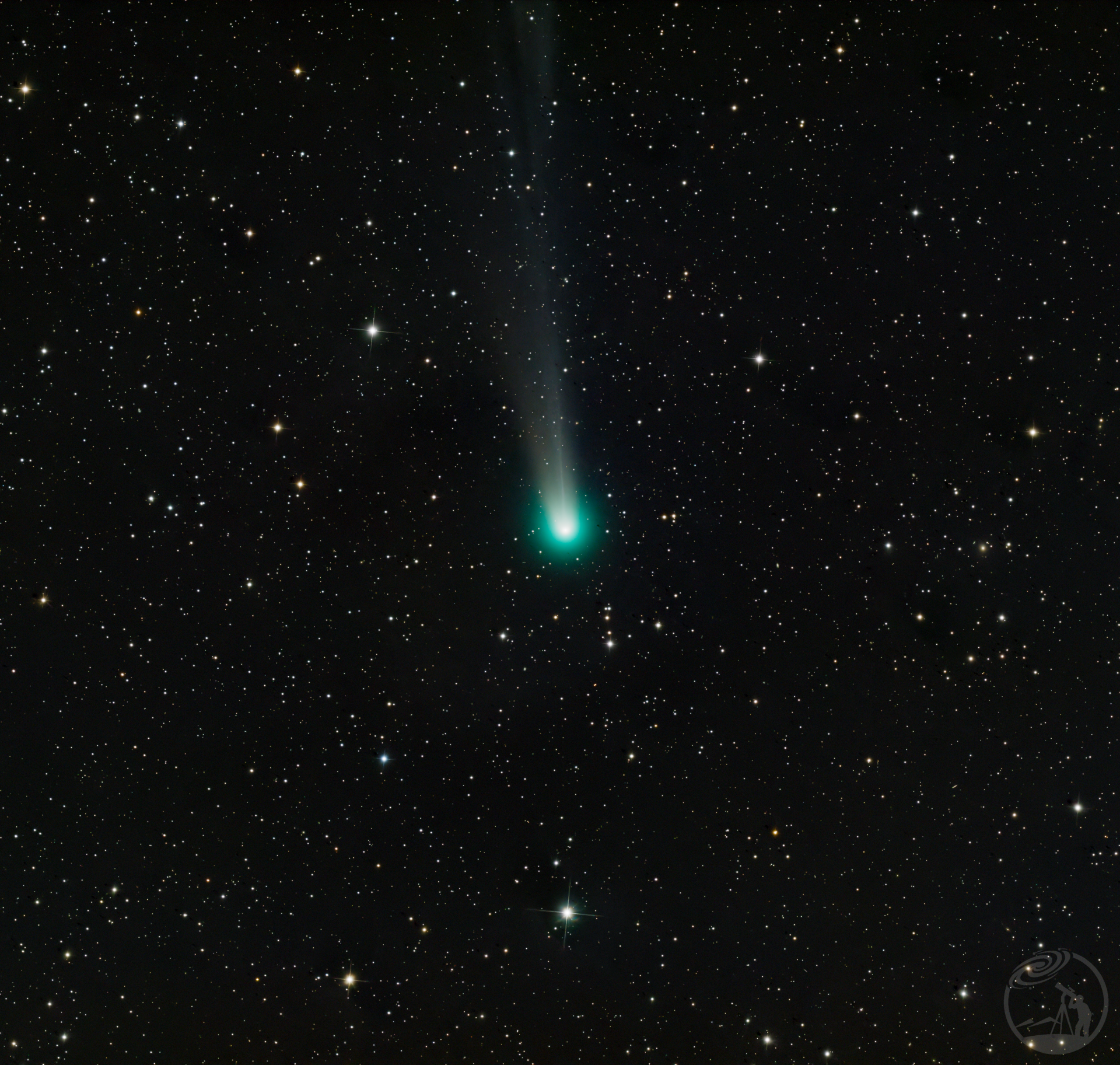 C/2025-A6 LEMMON