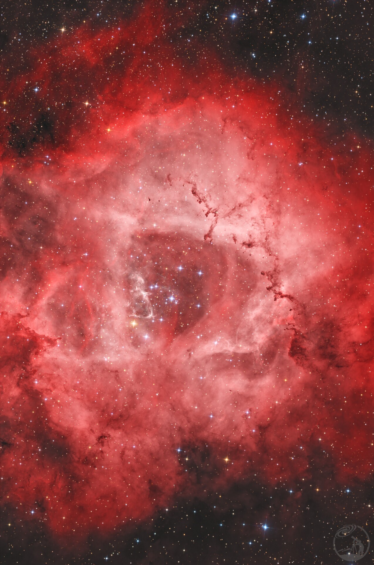 ngc2237玫瑰星云