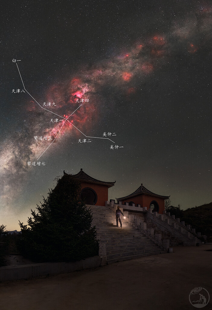 夜观天鹅座