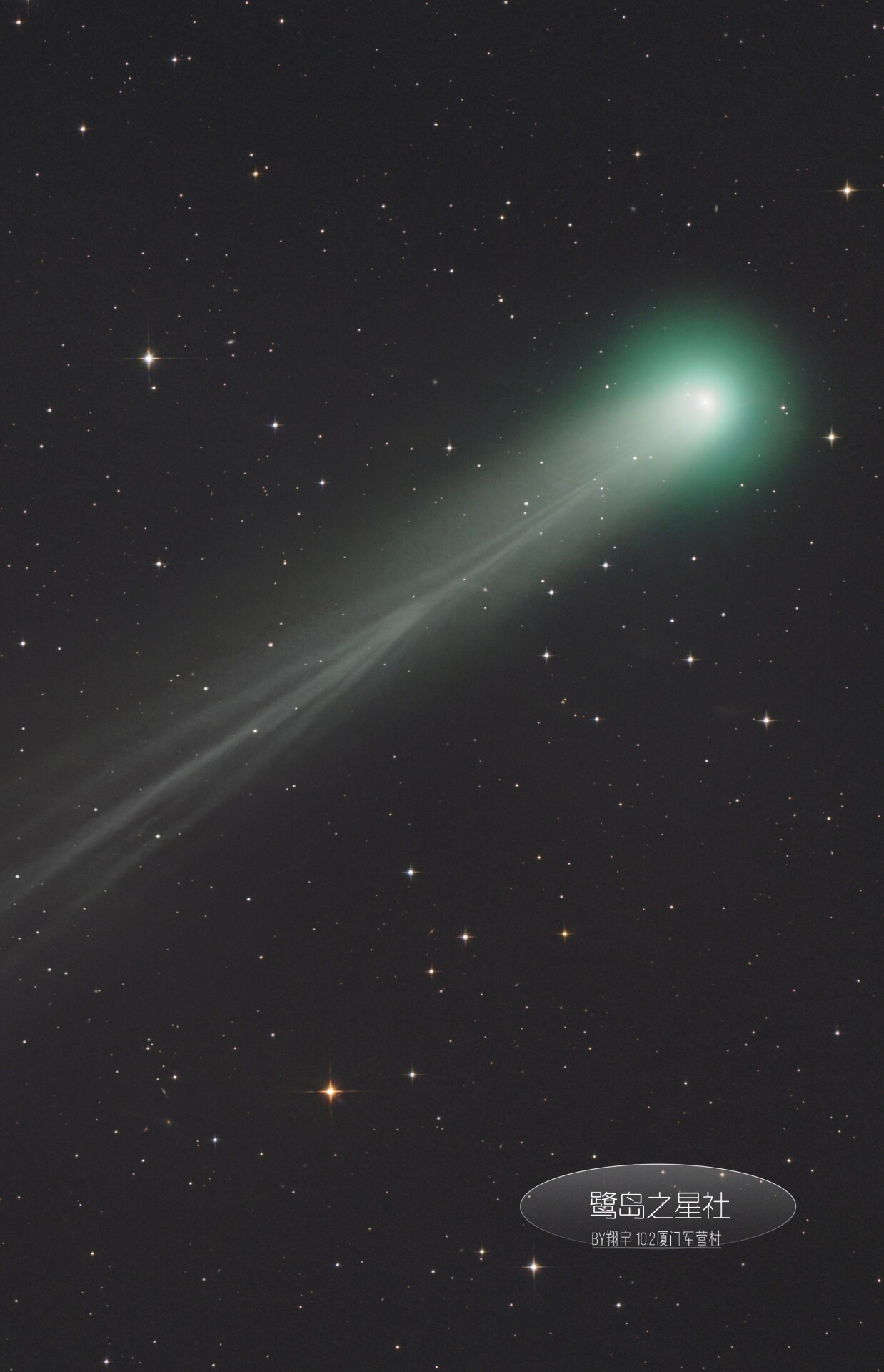 5级区老黑打野A6彗星