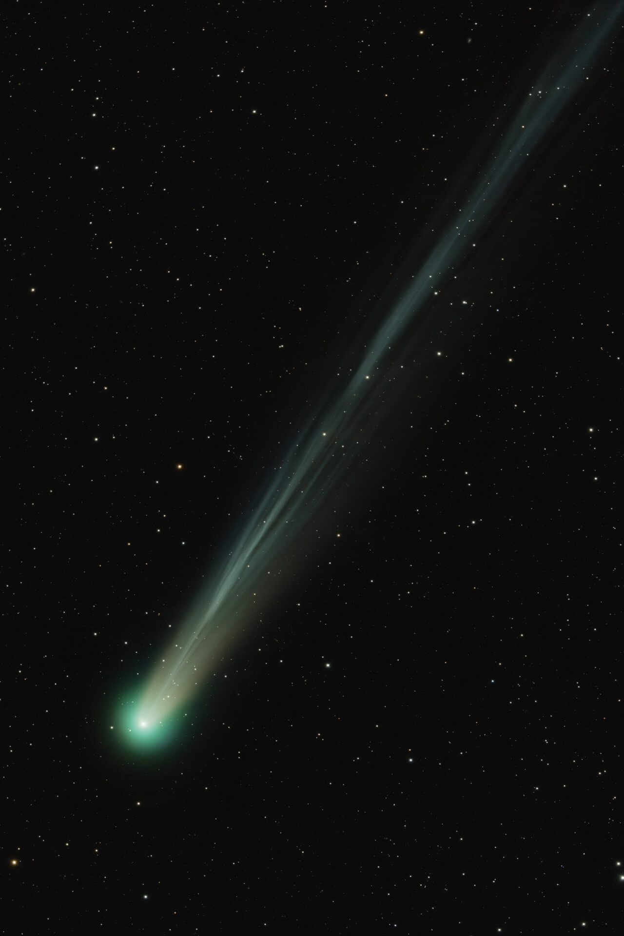 C/2025 A6彗星