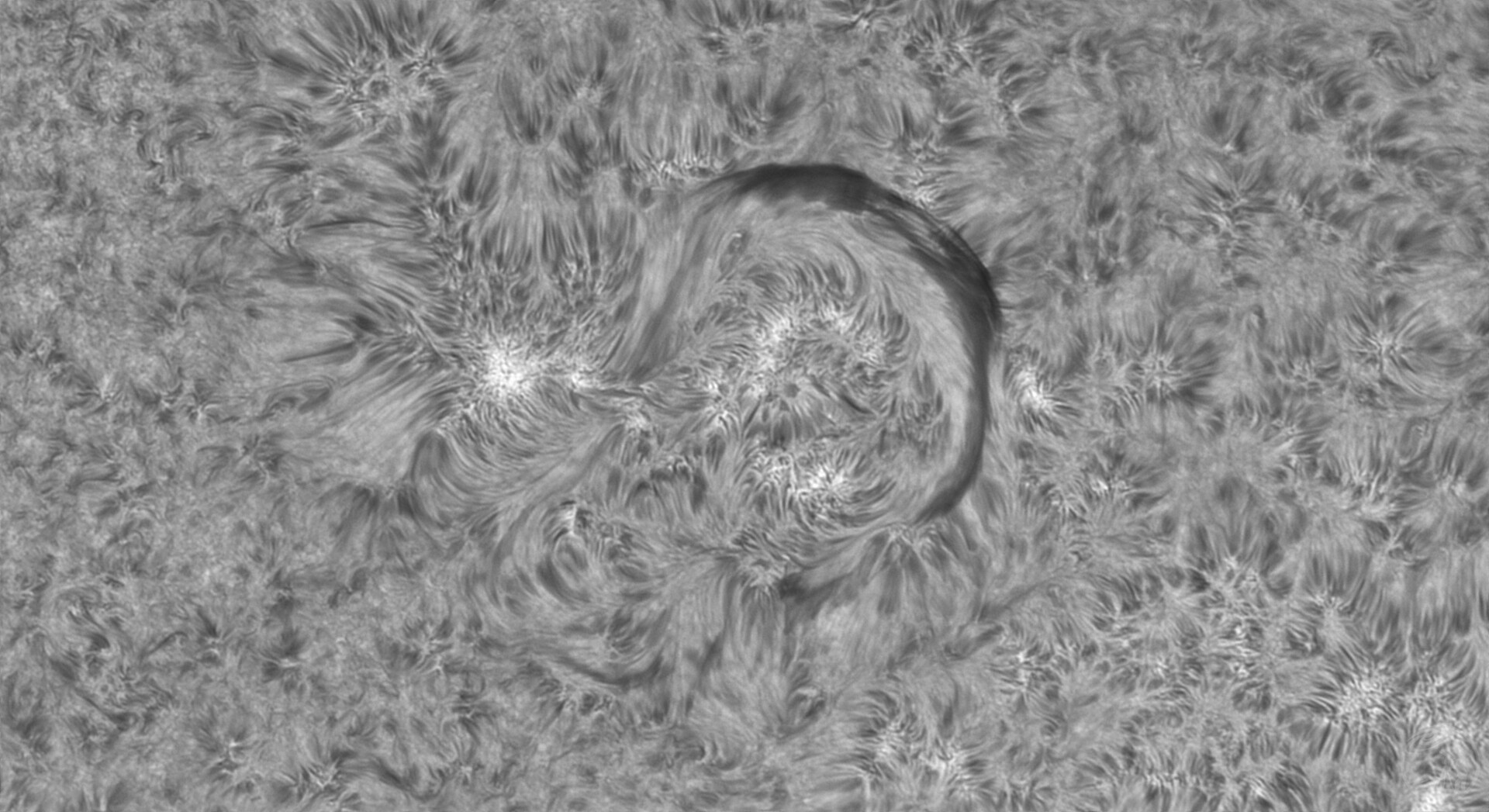 20251008太阳日面Halpha