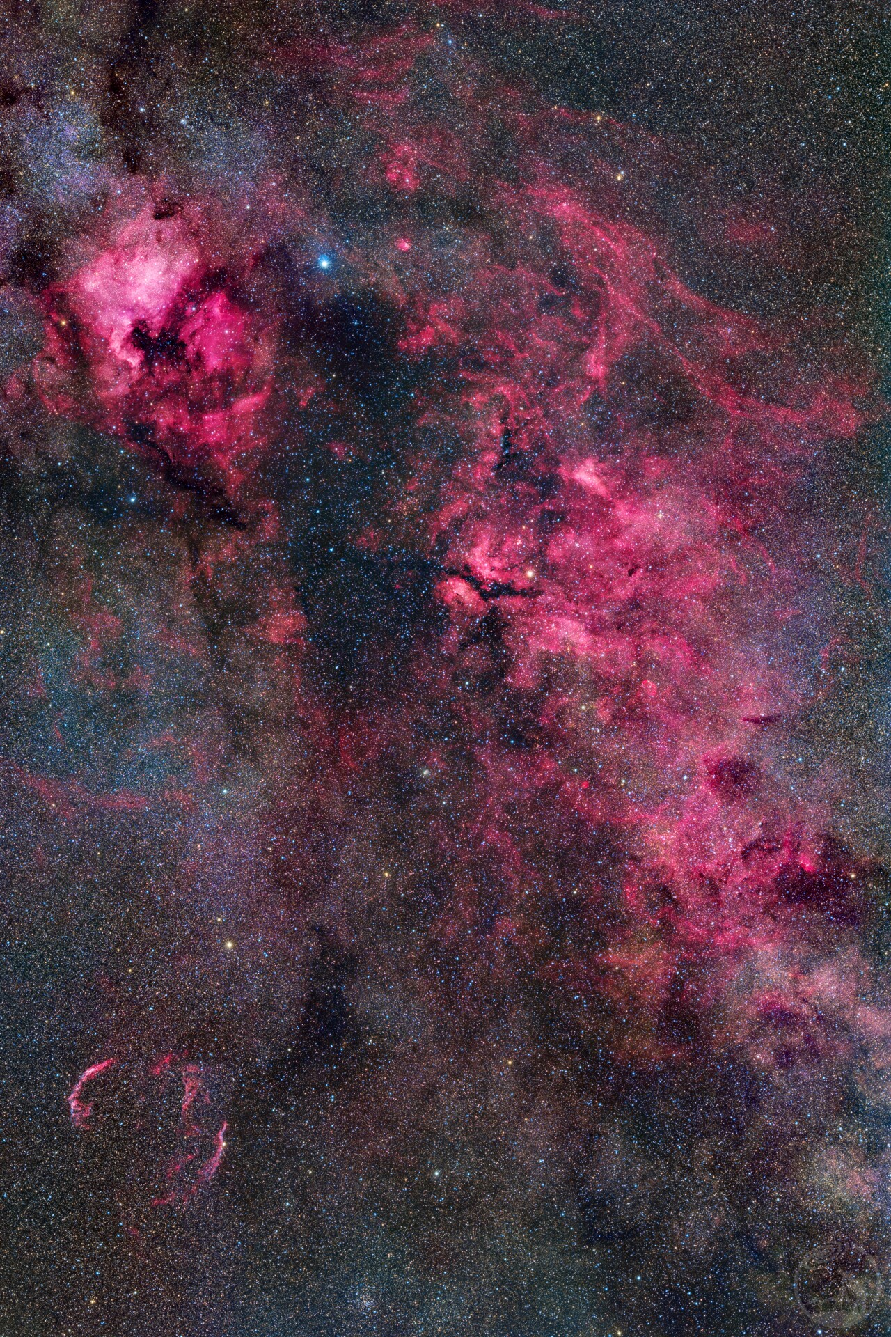 天鹅座的广域深空