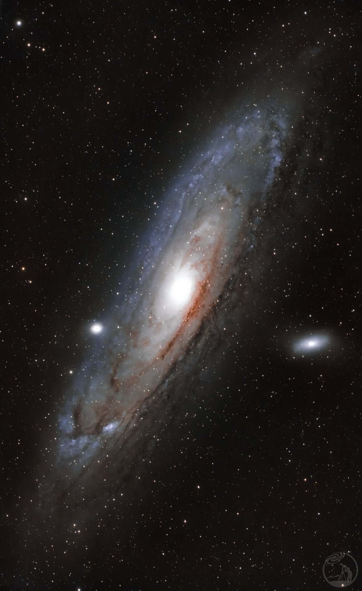 M31