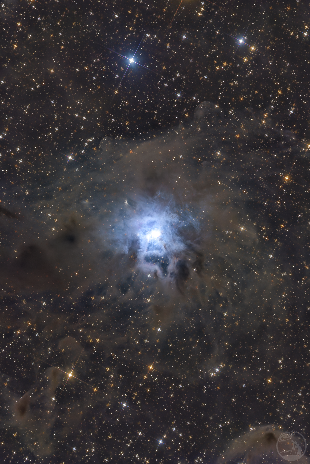 NGC7023 鸢尾花星云