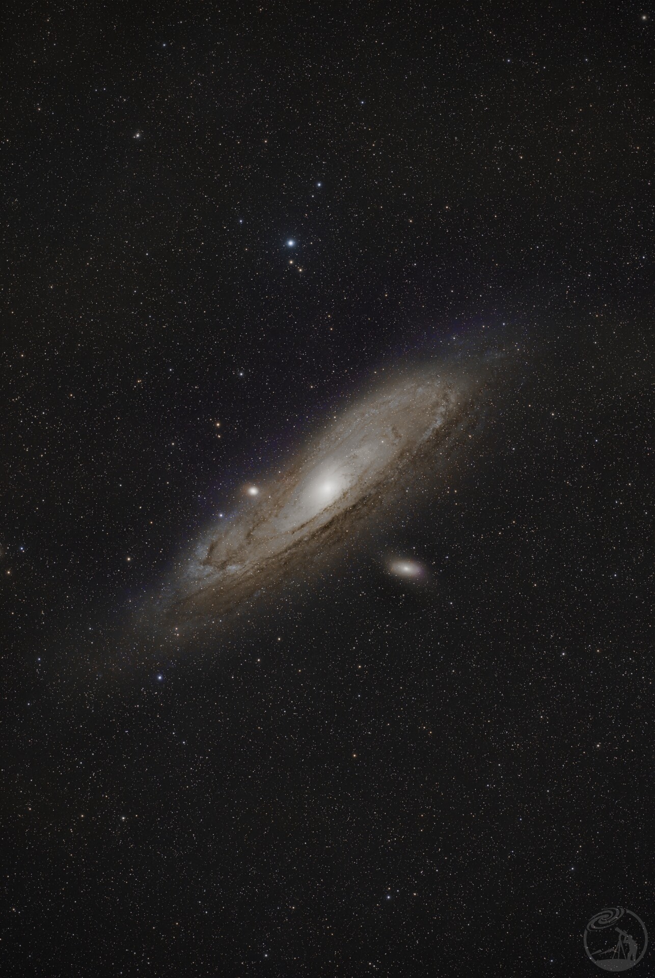 M31