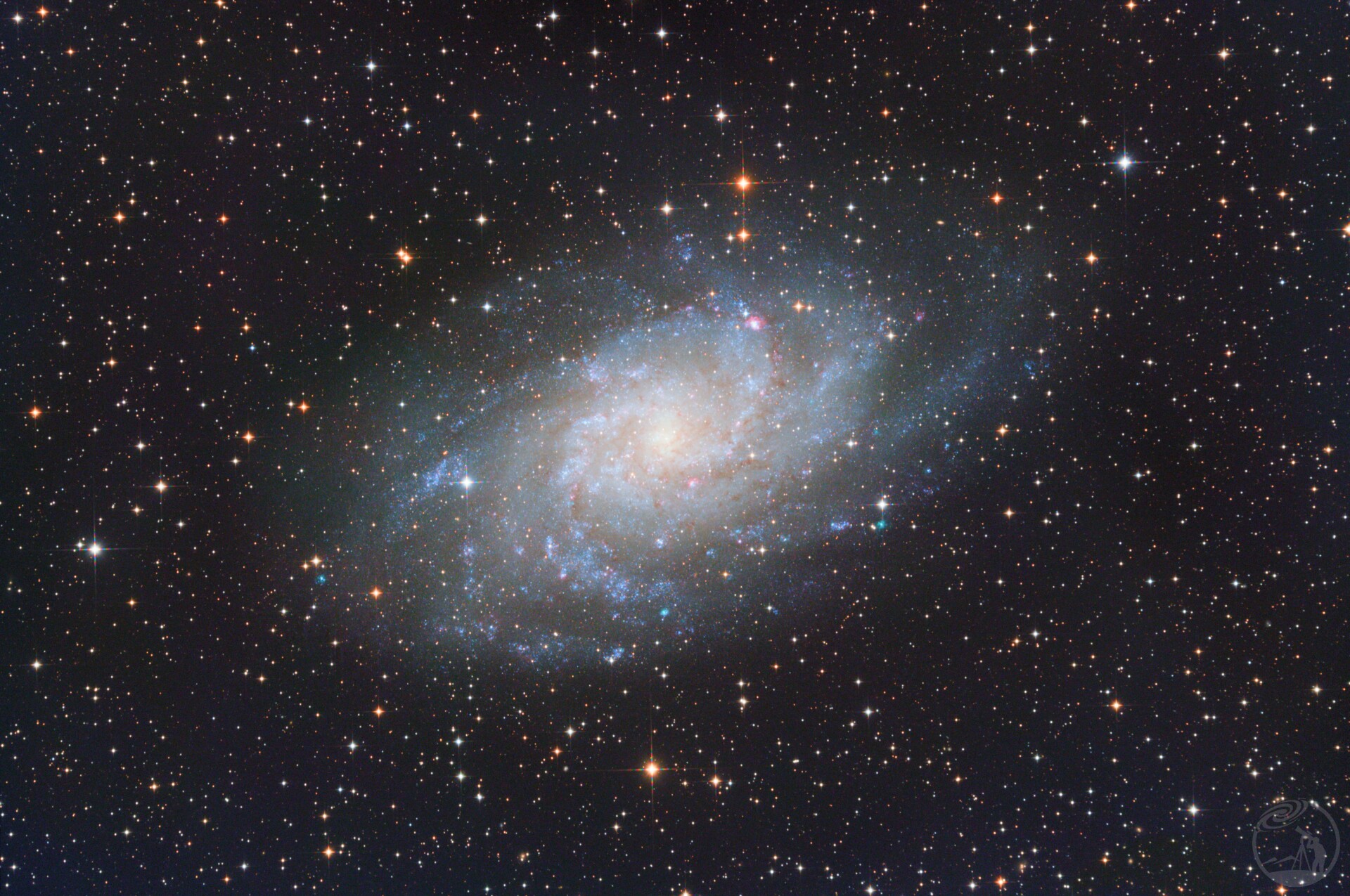 M33