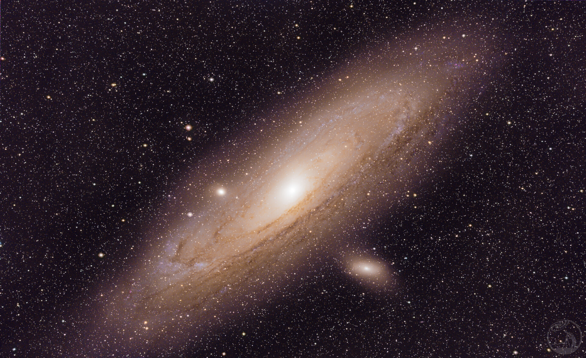 M31