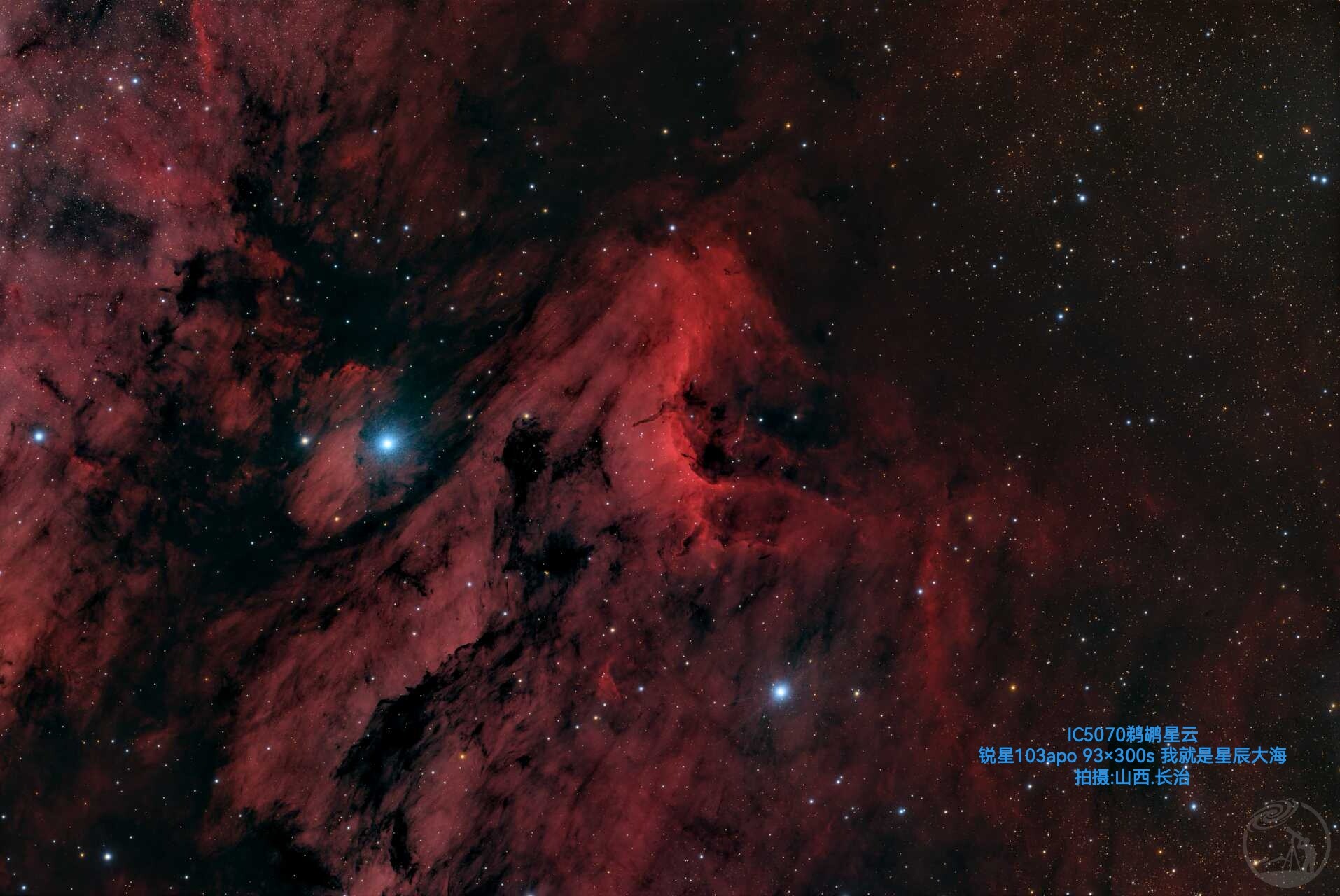 IC5070鹈鹕星云