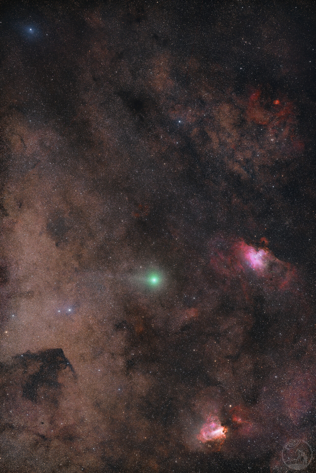 彼处天鹅与鹰共舞