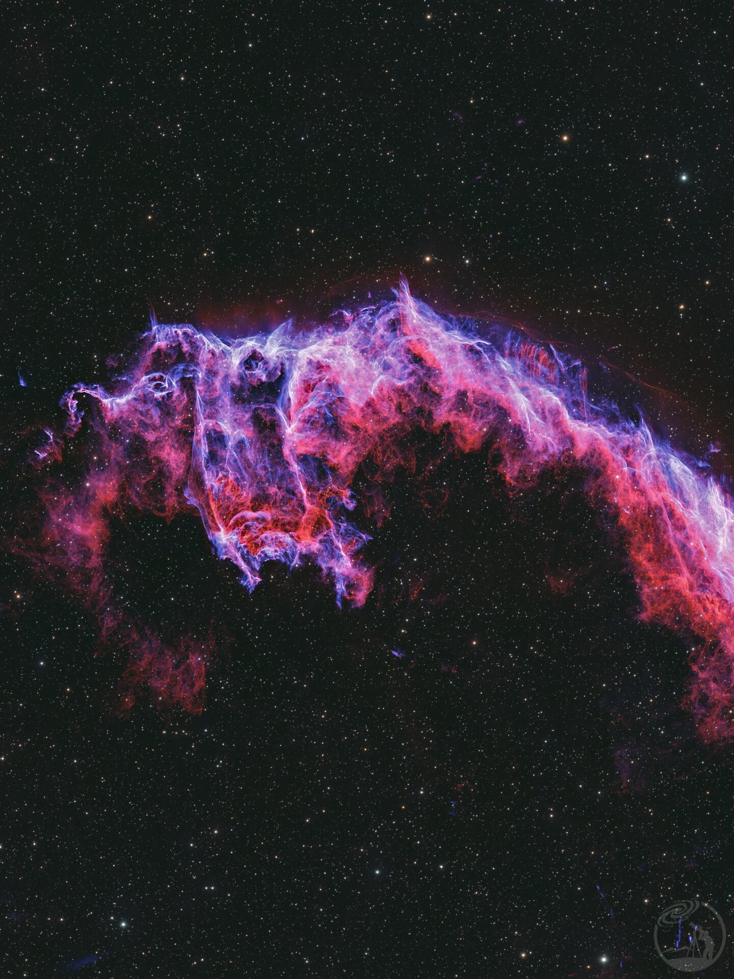 巨大的飞翔蝙蝠：NGC 6995