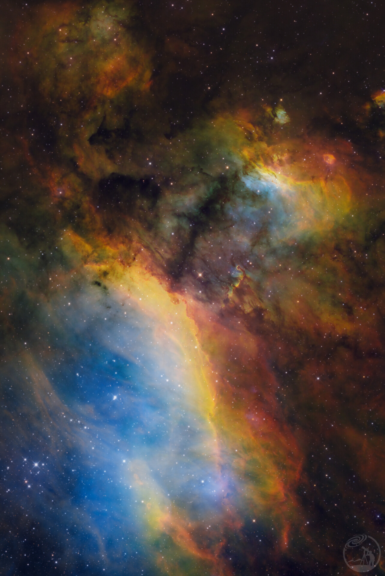 IC4628 斑节虾