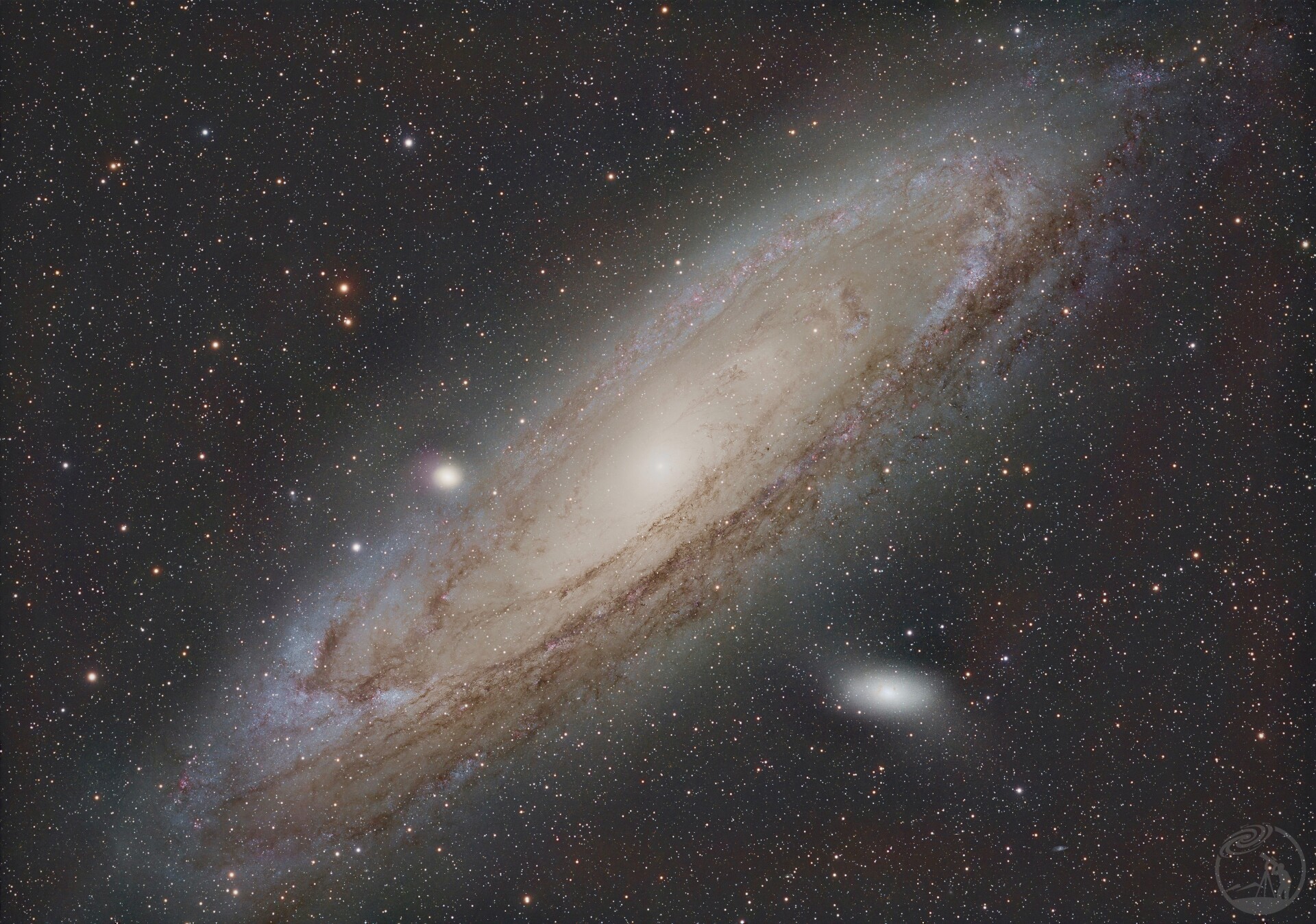 M31