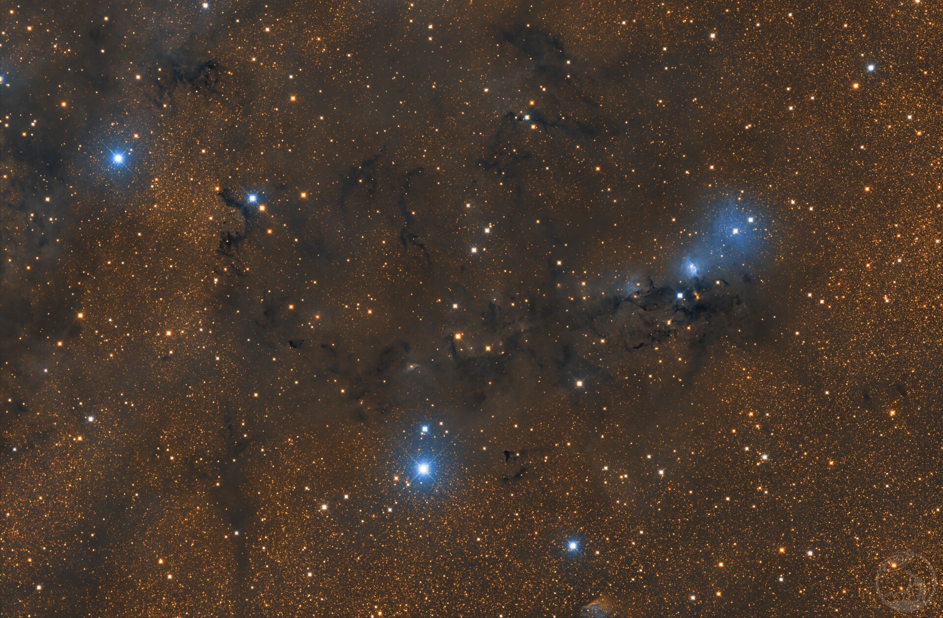 VDB123