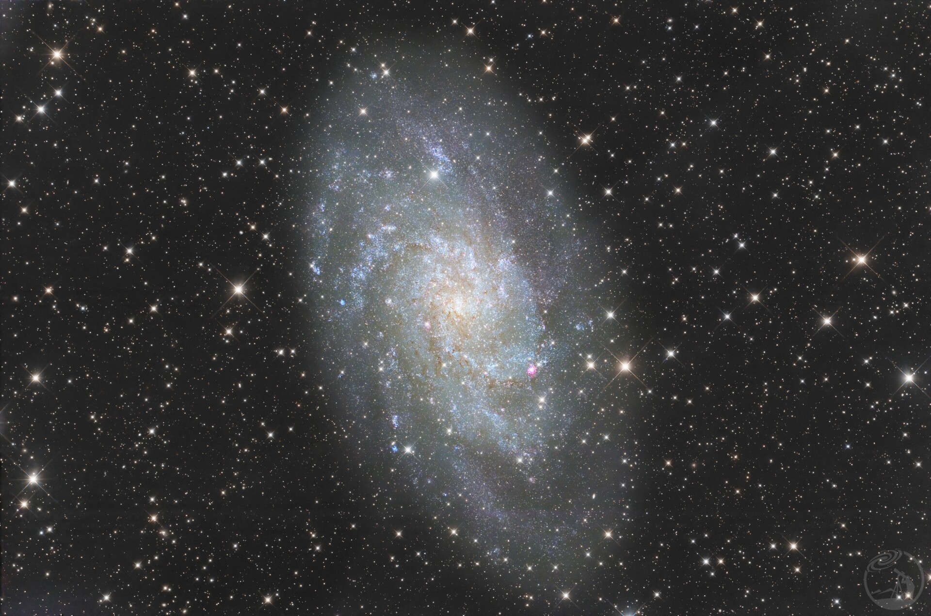 M33