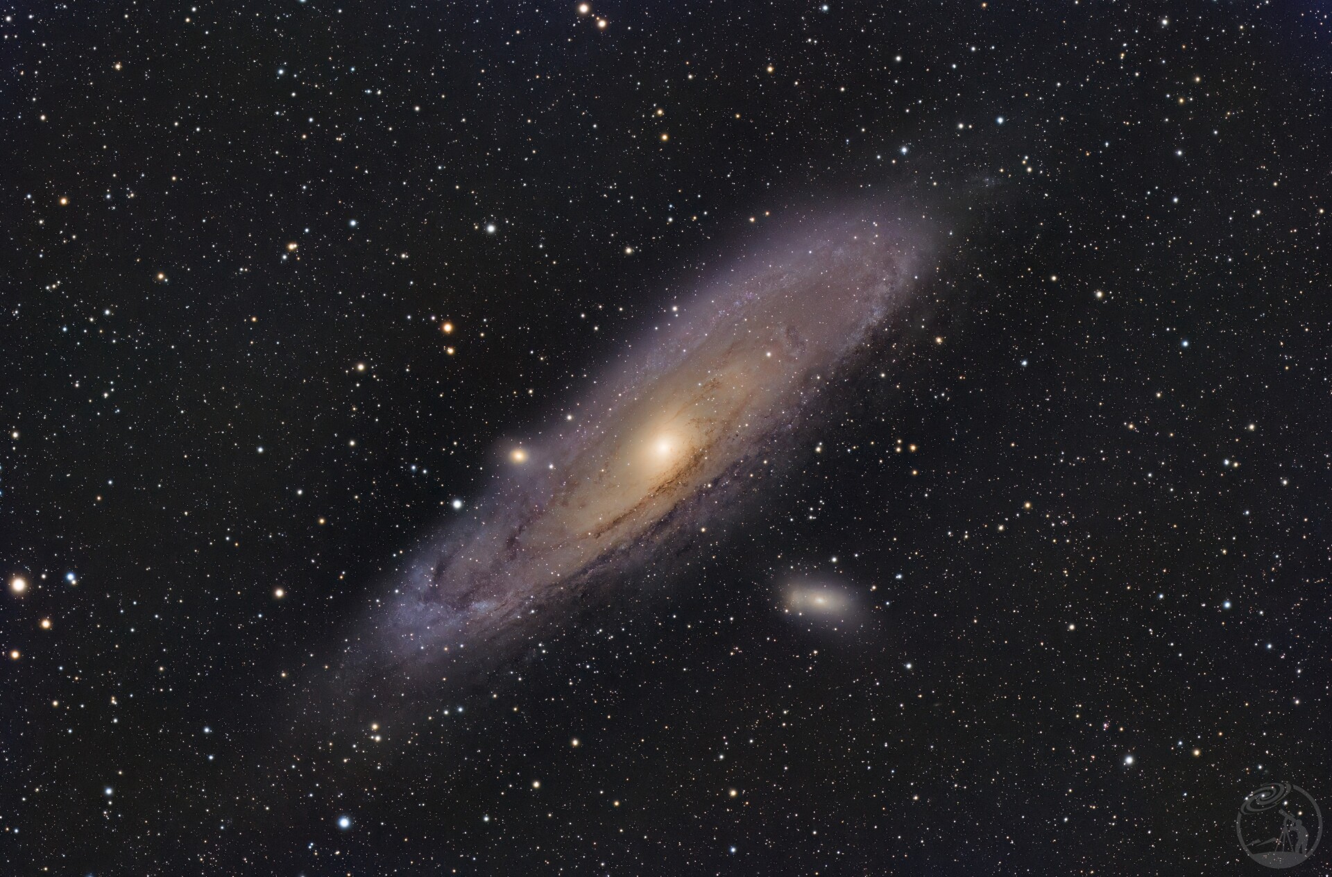 M31