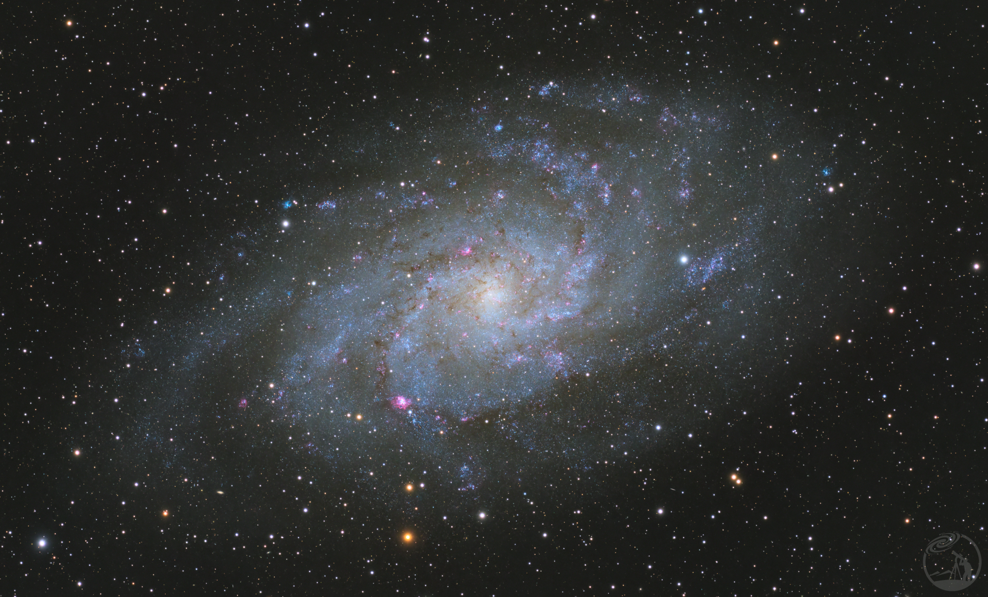 M33