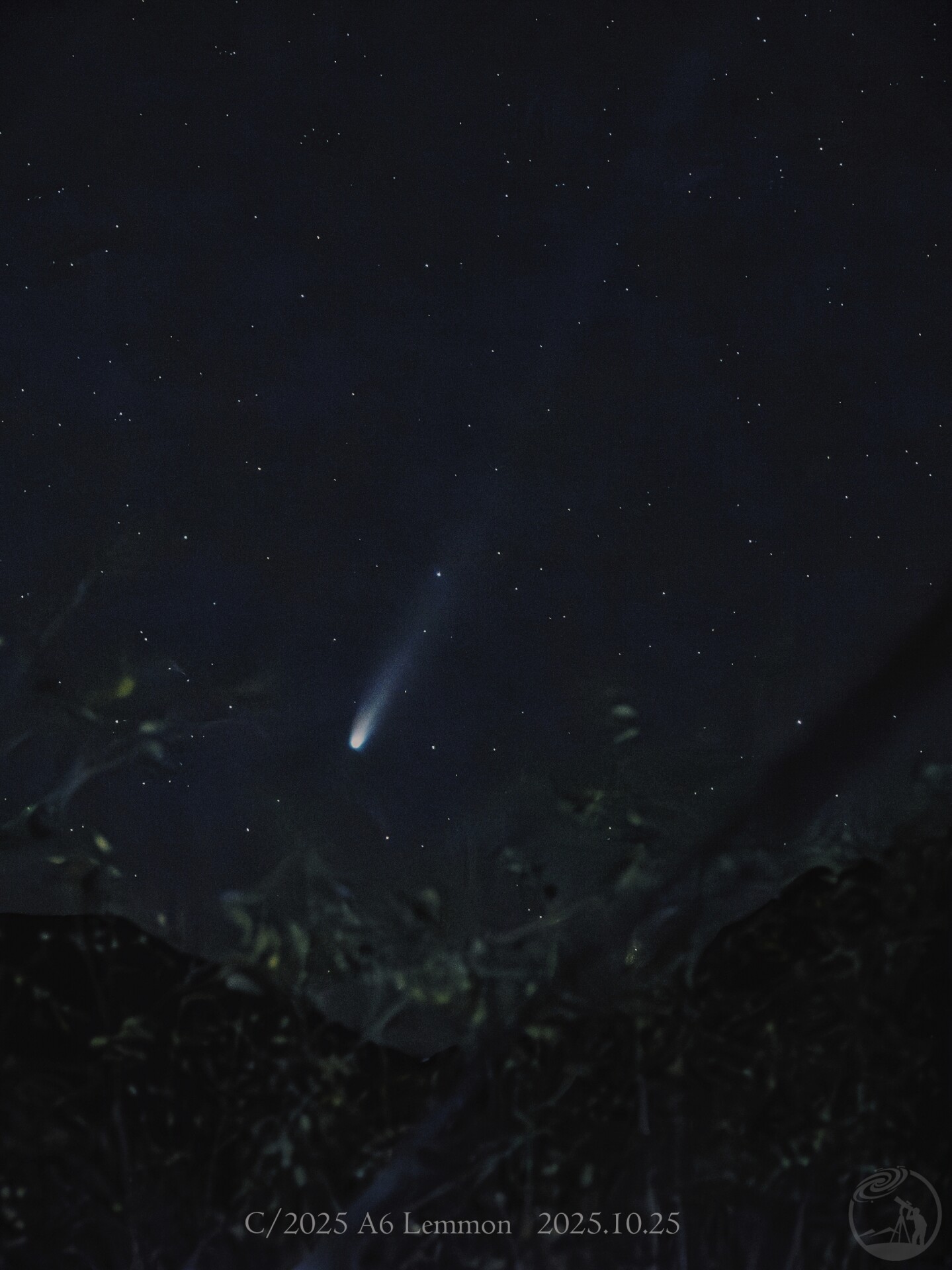 lemmon彗星