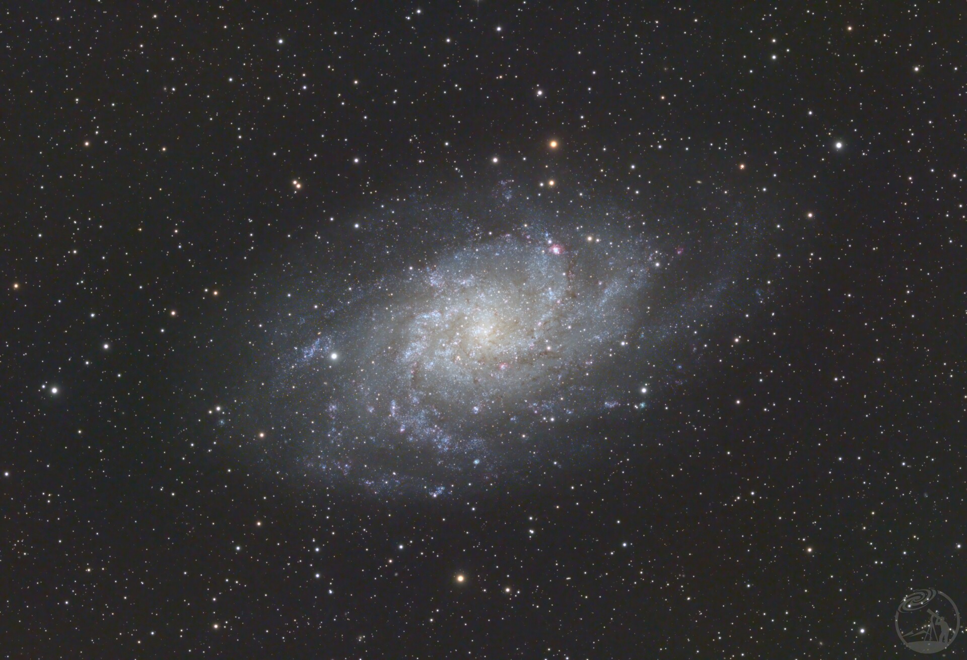 M33打野