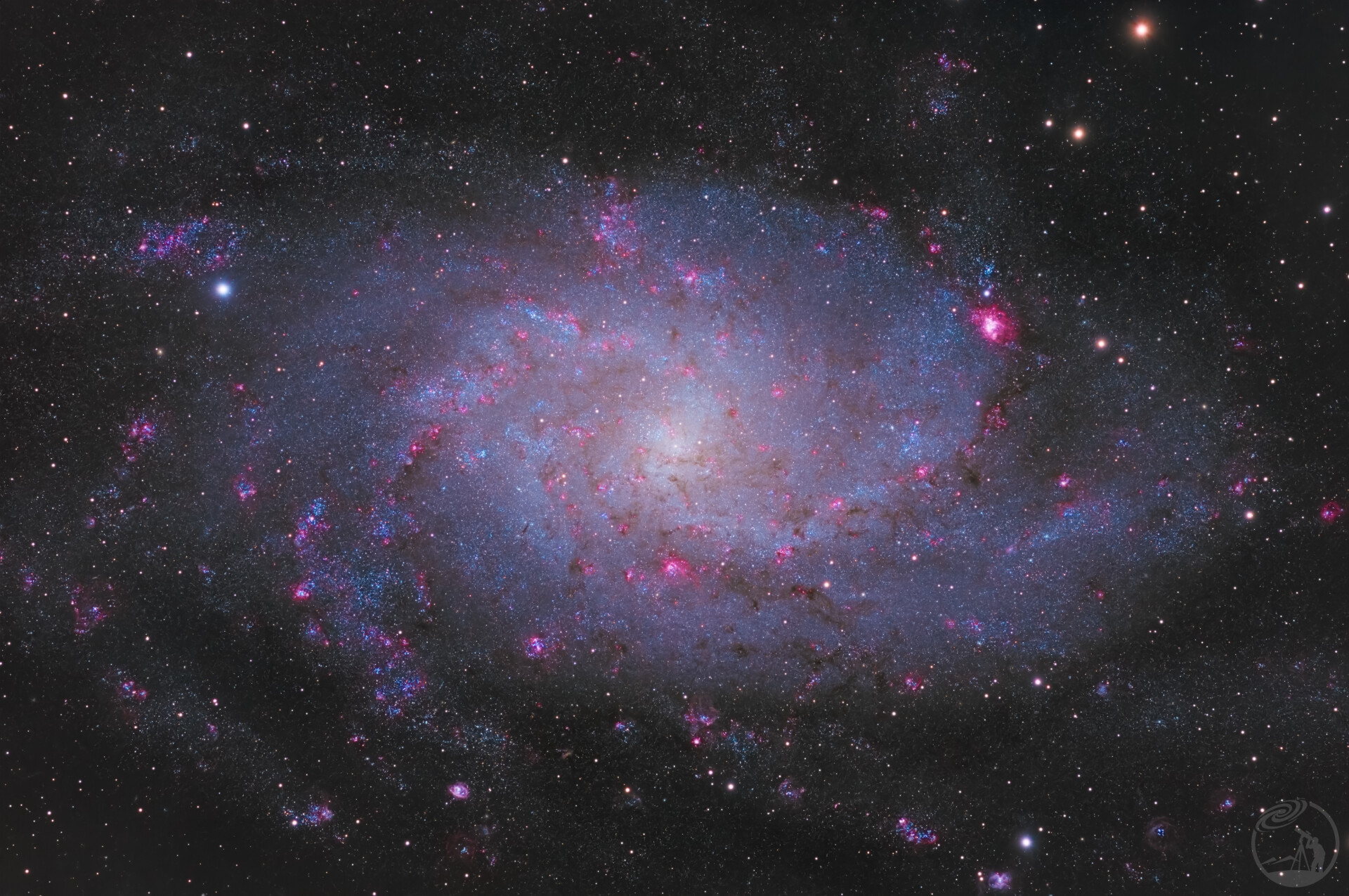 M33