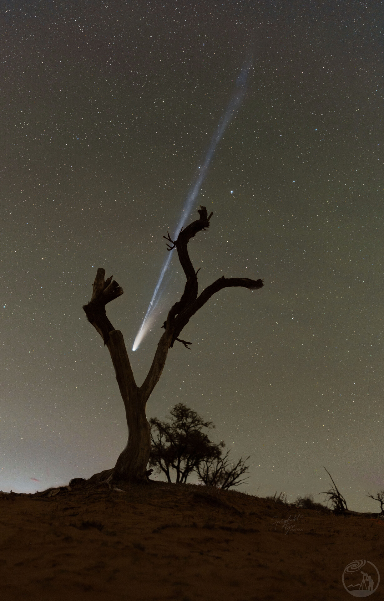 Белая ночь (White Night)