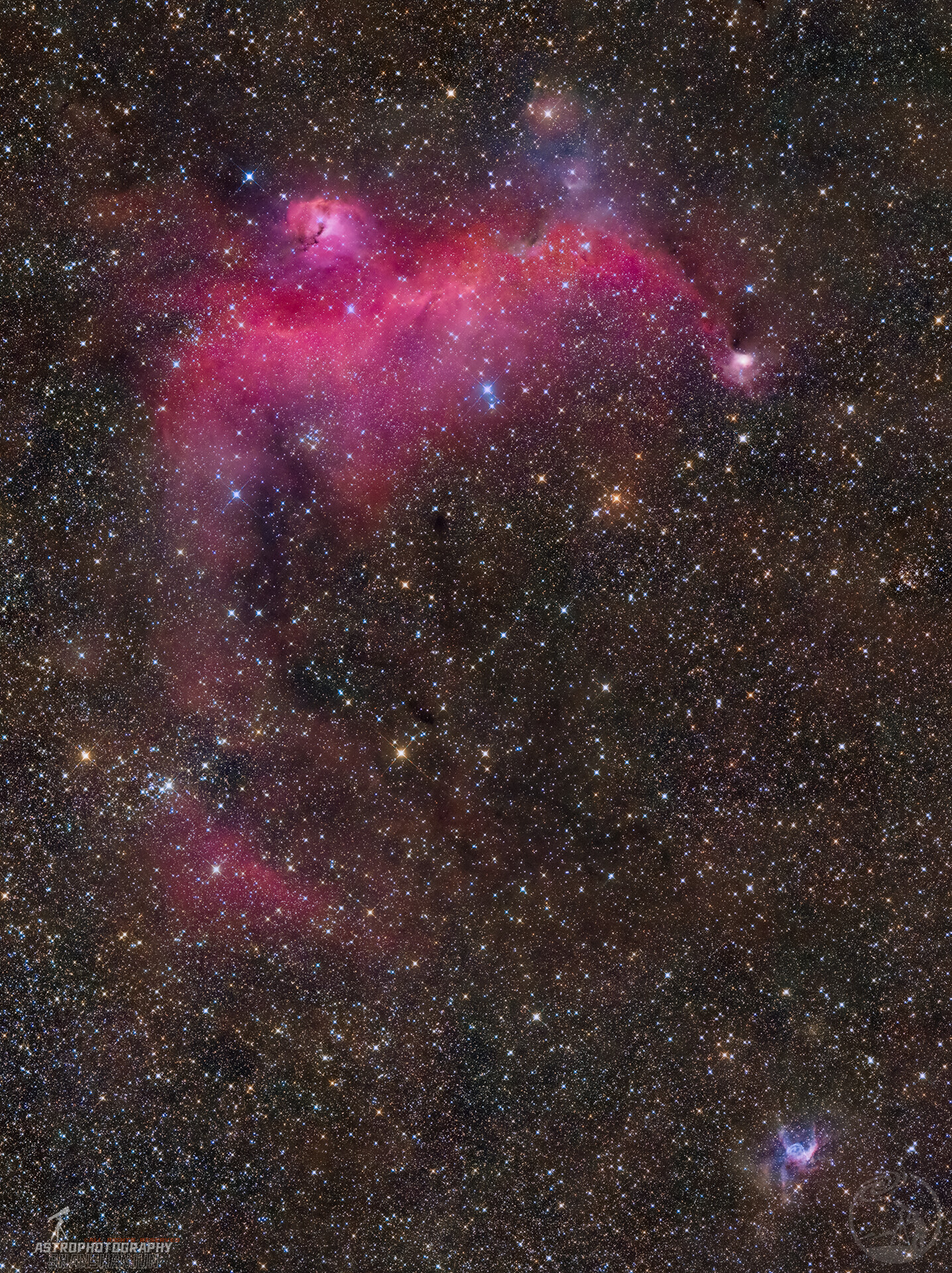 海鸥与雷神头盔