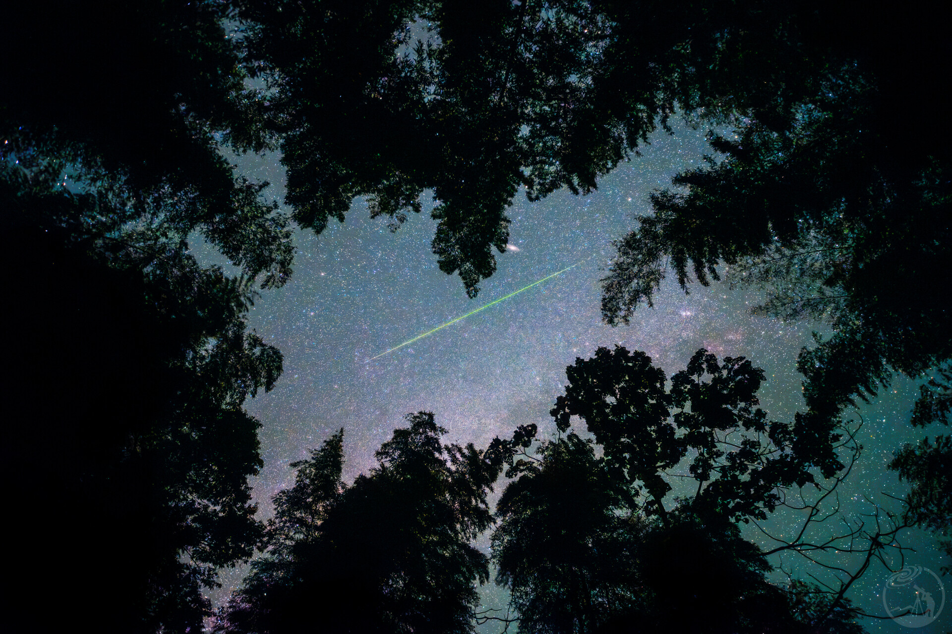 森之穹顶的流星