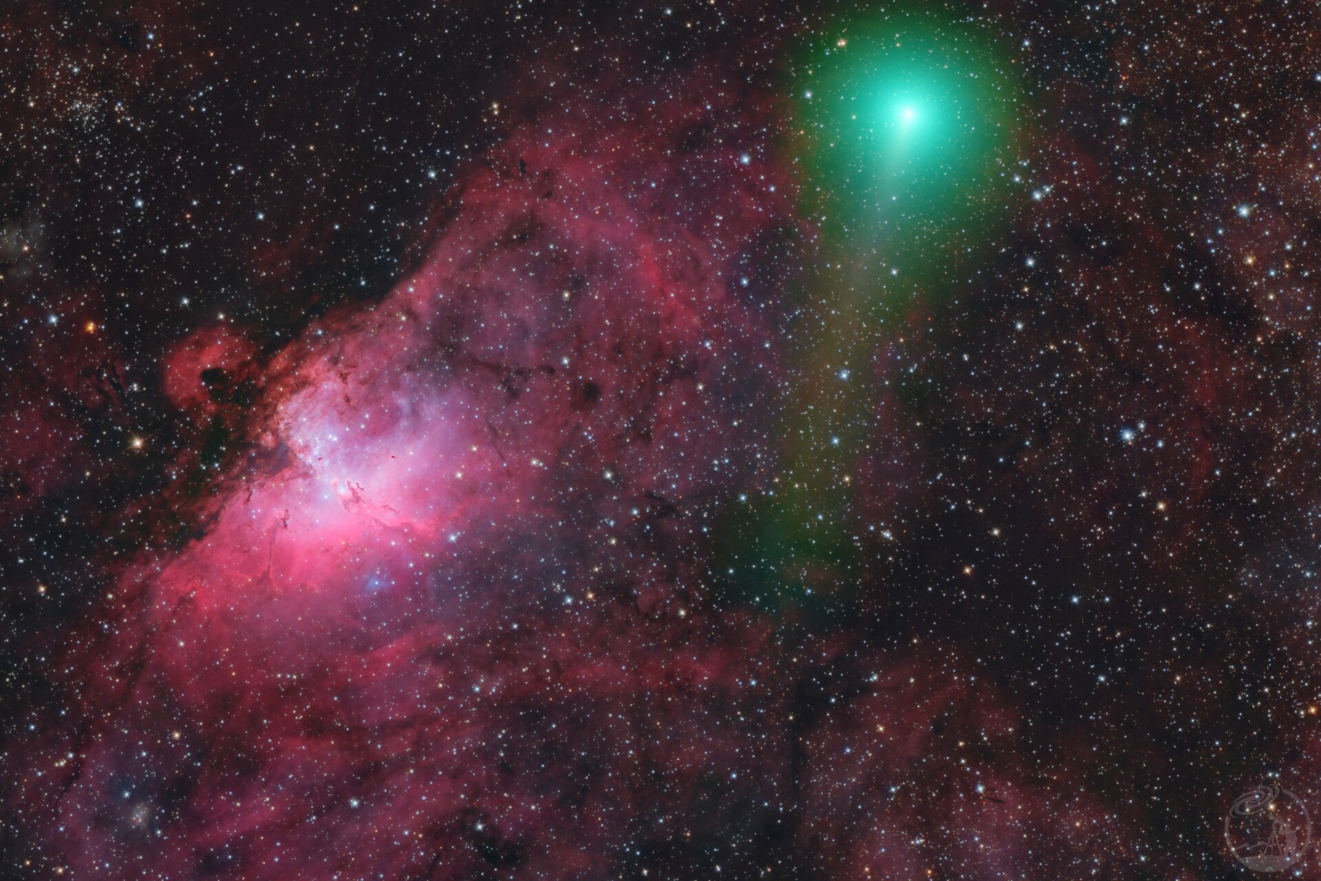 往来于天际的天鹅与鹰