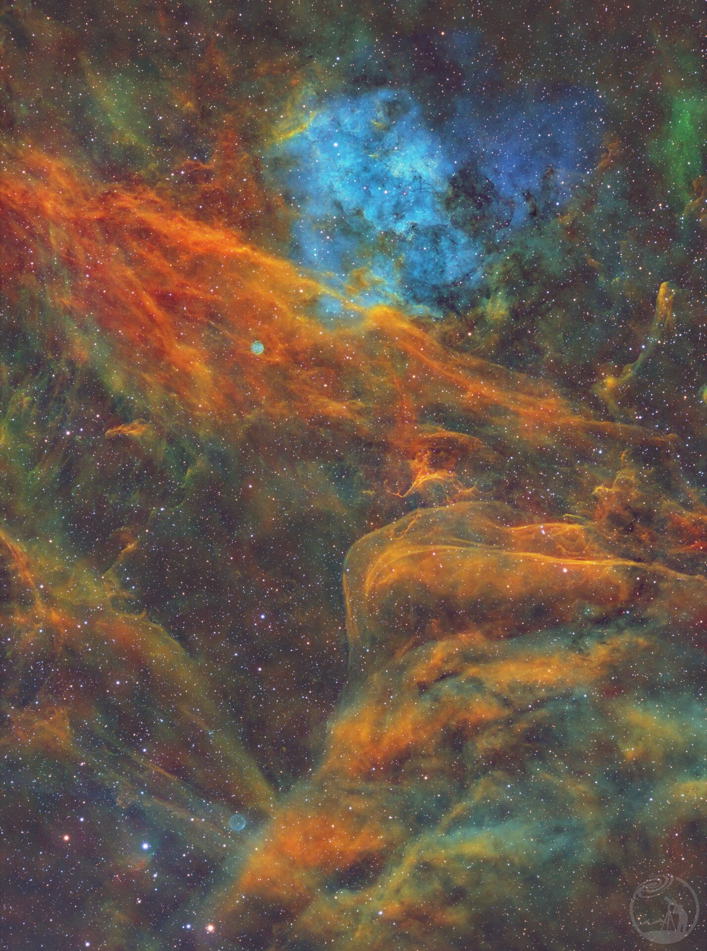 SH2-115│深蓝玫瑰