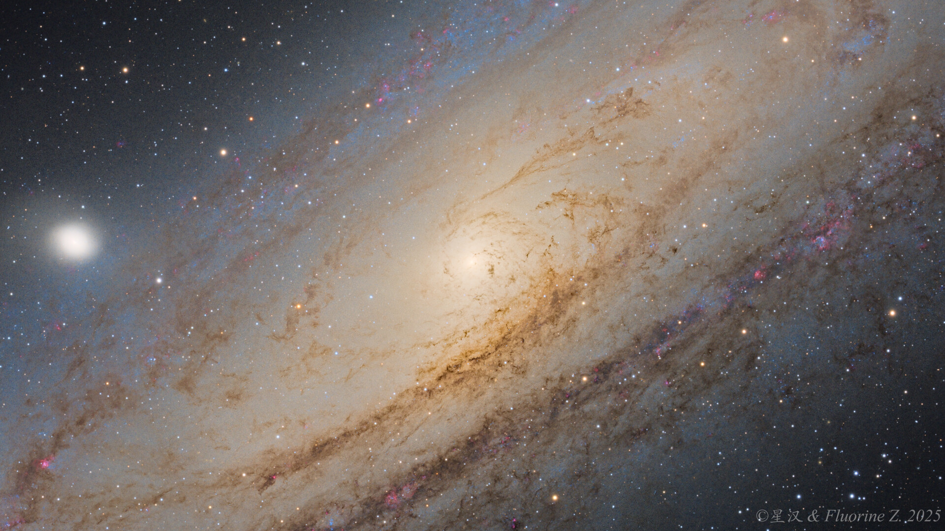 仙女的心都给你看透了