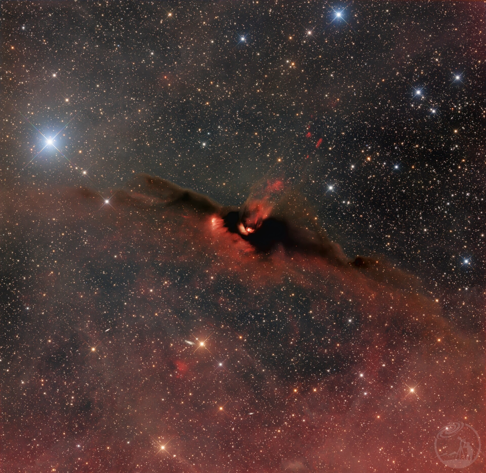 LDN43 吸血大蝙蝠